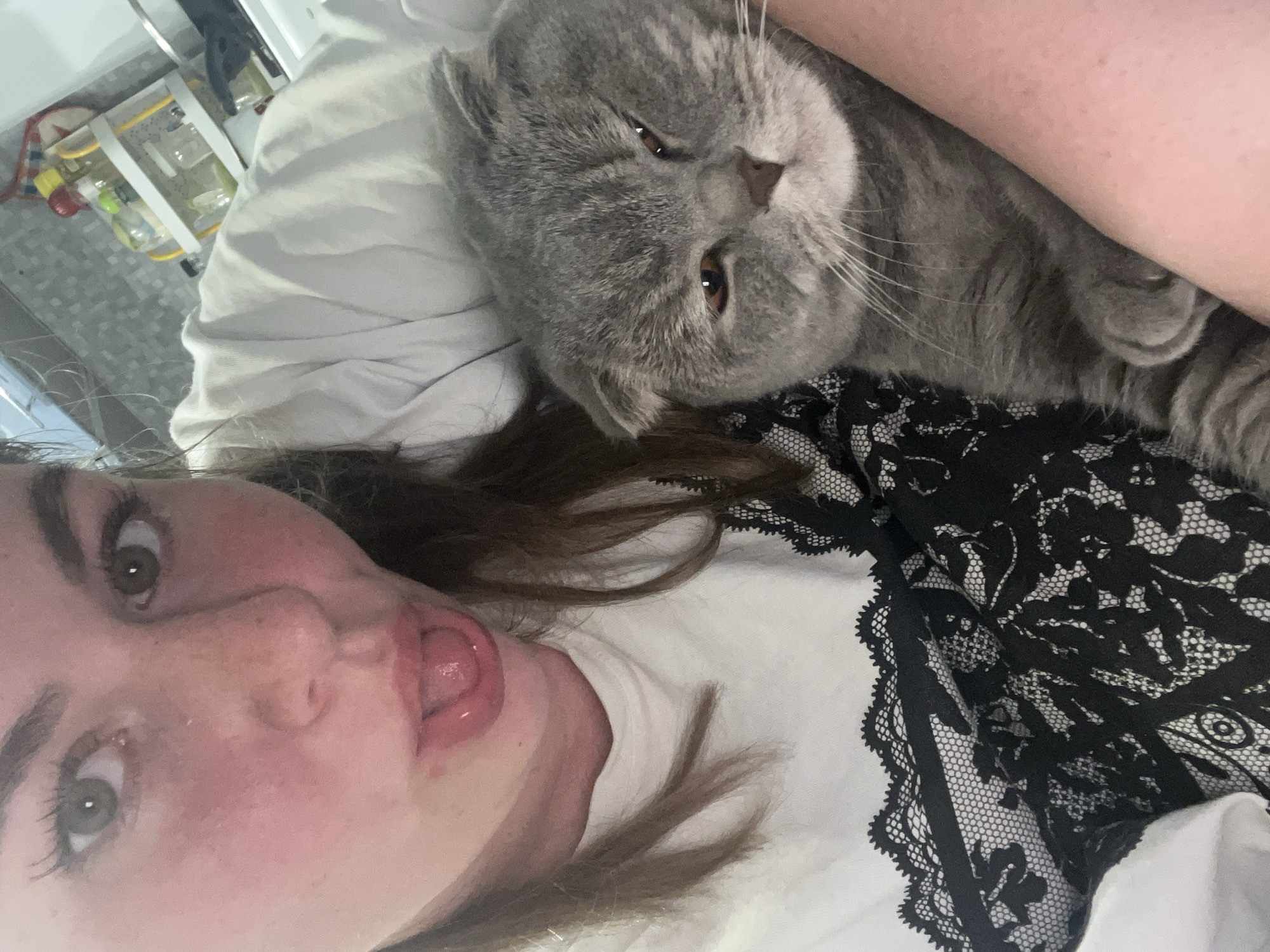 An indoor, close-up selfie shows a person and a grey cat relaxing together, likely in a bedroom or living space in Chaikovsky, Russia. The image is oriented sideways, with the person on the left and the cat on the right.
The person, appearing to be a woman with brown hair, green eyes, and fair skin with some redness on her cheeks, is looking directly at the camera with her tongue playfully extended. She is wearing a white top with intricate black lace details visible on the shoulder/chest area.
Next to her, a grey, short-haired cat, possibly a Scottish Fold breed due to its facial features and partially visible ear structure, is also looking towards the camera. Its eyes are partially closed, giving it a relaxed or sleepy expression. The cat is nestled against the person's arm or shoulder.
In the blurred background, several bottles are visible on a white shelf or trolley, suggesting a casual, lived-in environment. No text is visible in the image. The overall mood is intimate and relaxed.