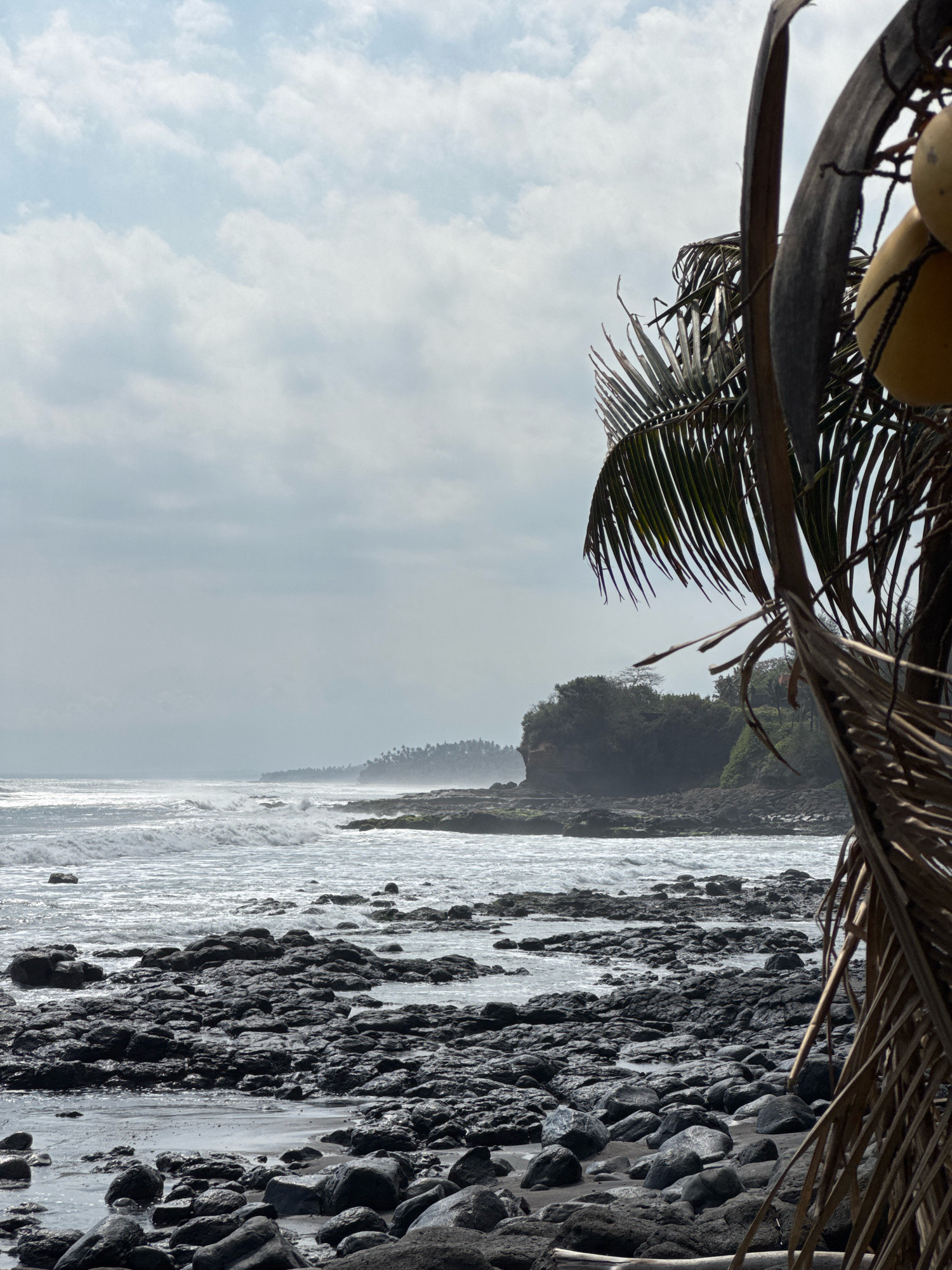 The image depicts a rocky beach in Selemadeg, Indonesia. In the foreground, dried palm fronds and coconuts are visible on the right side. The beach itself is covered in dark, smooth rocks, some of which are wet from the incoming tide. The ocean is a turbulent grey, with white foam cresting on waves that crash against the shore and rocks. In the middle ground, a rocky outcropping covered in green vegetation juts into the sea. The horizon is hazy, with a distant coastline dotted with palm trees. The sky is overcast with soft, white clouds.