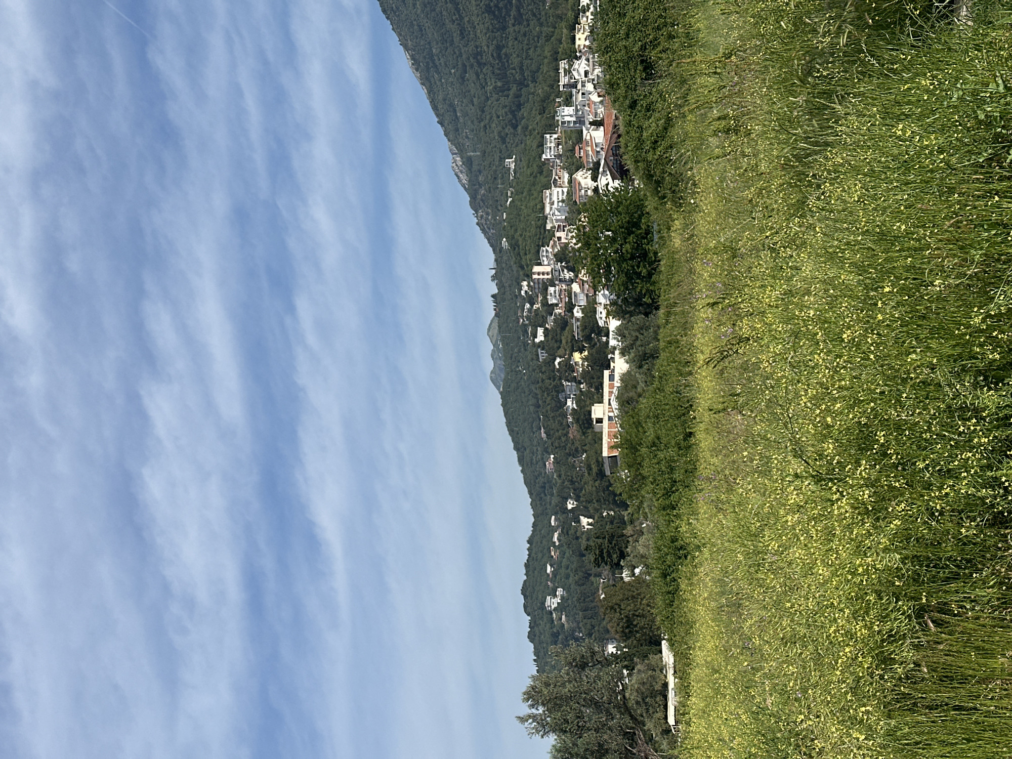 The image depicts a hillside residential area on a sunny day, likely in or near Bar, Montenegro. A slope covered in green vegetation dominates the foreground, densely populated with small yellow flowers. A cluster of buildings, primarily white and with some terracotta roofs, is positioned on the hillside. Above the settlement, the wooded landscape ascends to the top of the image. A hazy blue sky with elongated clouds covers the left portion of the frame.