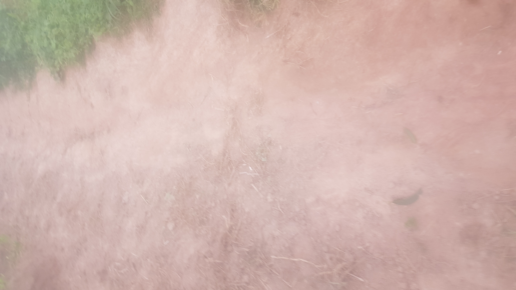 The image shows a blurred view of a dirt path, possibly in Wukari, Nigeria. The path is reddish-brown and appears to be dusty. To the right of the path, there is a patch of green vegetation, likely grass or low-lying plants. The lighting is soft and diffused, suggesting it could be overcast or the photograph was taken at dawn or dusk. There are no people or specific objects clearly visible, only the texture of the ground and the hint of greenery. The overall impression is of a natural outdoor environment, likely a rural or semi-rural area given the unpaved path.