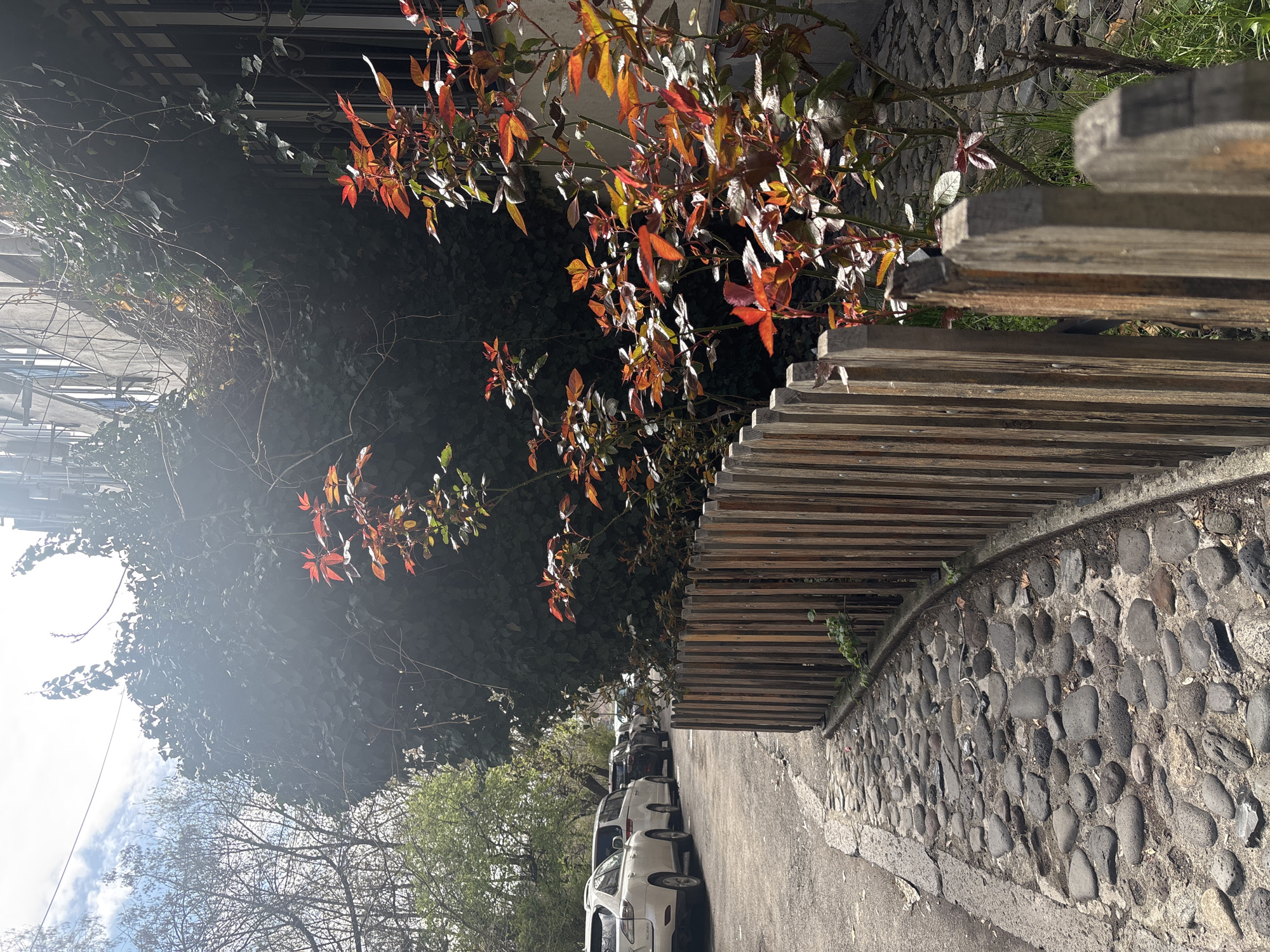 The image shows a street scene in Yerevan, Armenia. A row of white cars is parked along the right side of the street. A low wooden fence runs alongside the street, bordered by a stone retaining wall constructed of rounded stones. Behind the fence, there's a tree with red and green leaves. Dense foliage obscures some of the background. In the distance, there are buildings and a glimpse of the sky with clouds. The photograph is taken from an angle, making it appear as though the scene is tilted.