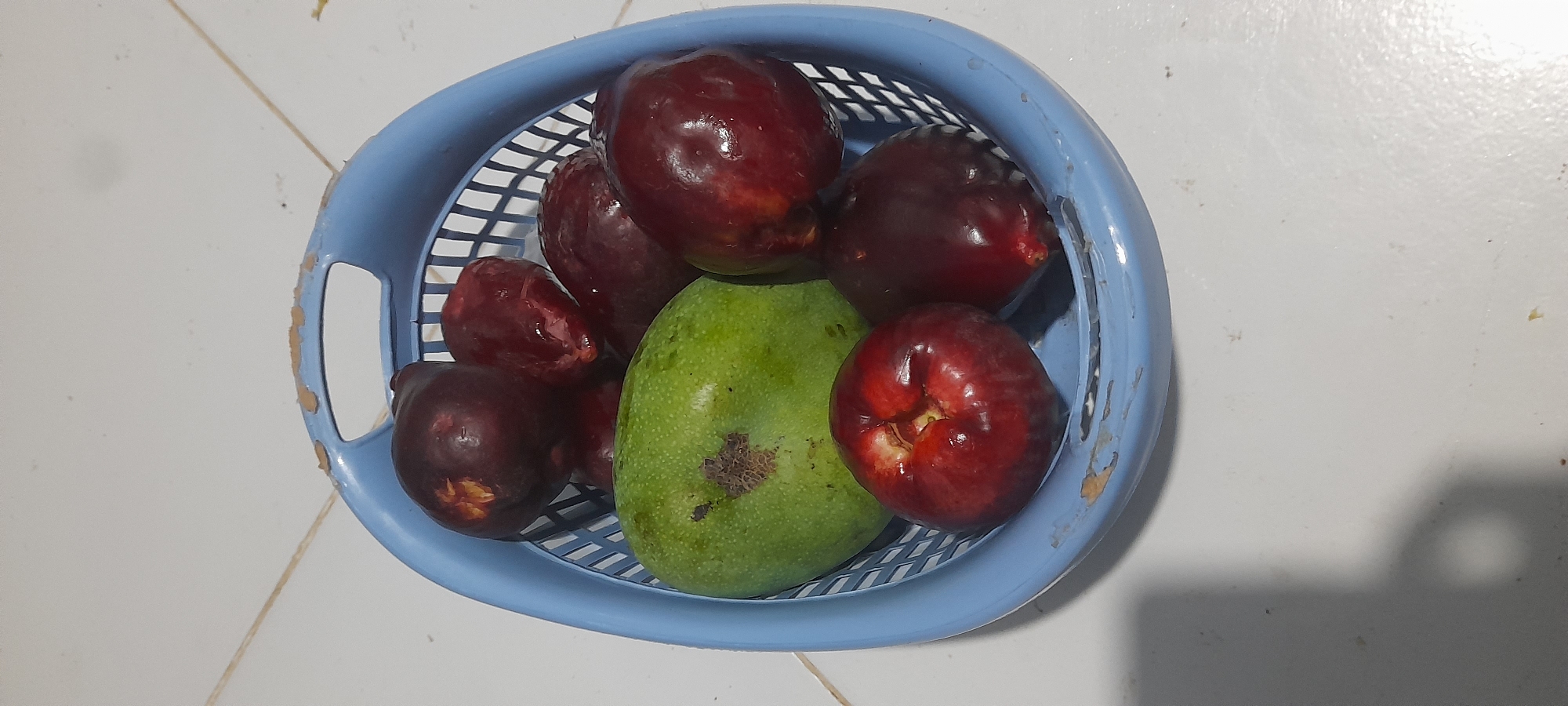 The image shows a light blue plastic basket filled with approximately 7 dark red rose apples and one green mango with a brown patch. The basket sits on a white tiled surface. The lighting suggests an indoor setting. The photo appears to have been taken in Buketteukuh, Indonesia.