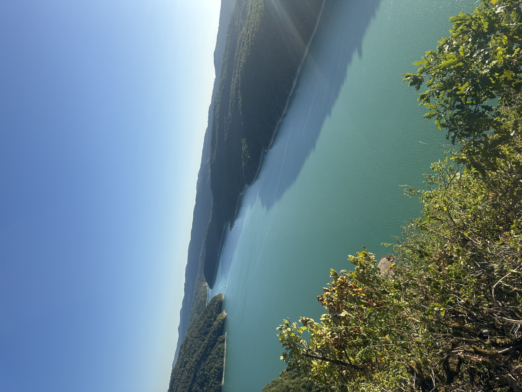 This is a wide-angle, high-angle shot of the Lac de Vouglans reservoir near Moirans-en-Montagne, France, on a clear, sunny day. The water is a vibrant turquoise, reflecting the bright blue sky. Lush green forested hills surround the lake, creating a dramatic landscape. In the foreground, branches of leafy trees, some with hints of yellow and orange foliage, frame the scene, suggesting autumn is approaching. A narrow boat is visible in the distance on the water. The sun casts a strong, diagonal ray across the right side of the lake and hills. The image captures a serene and expansive natural view.