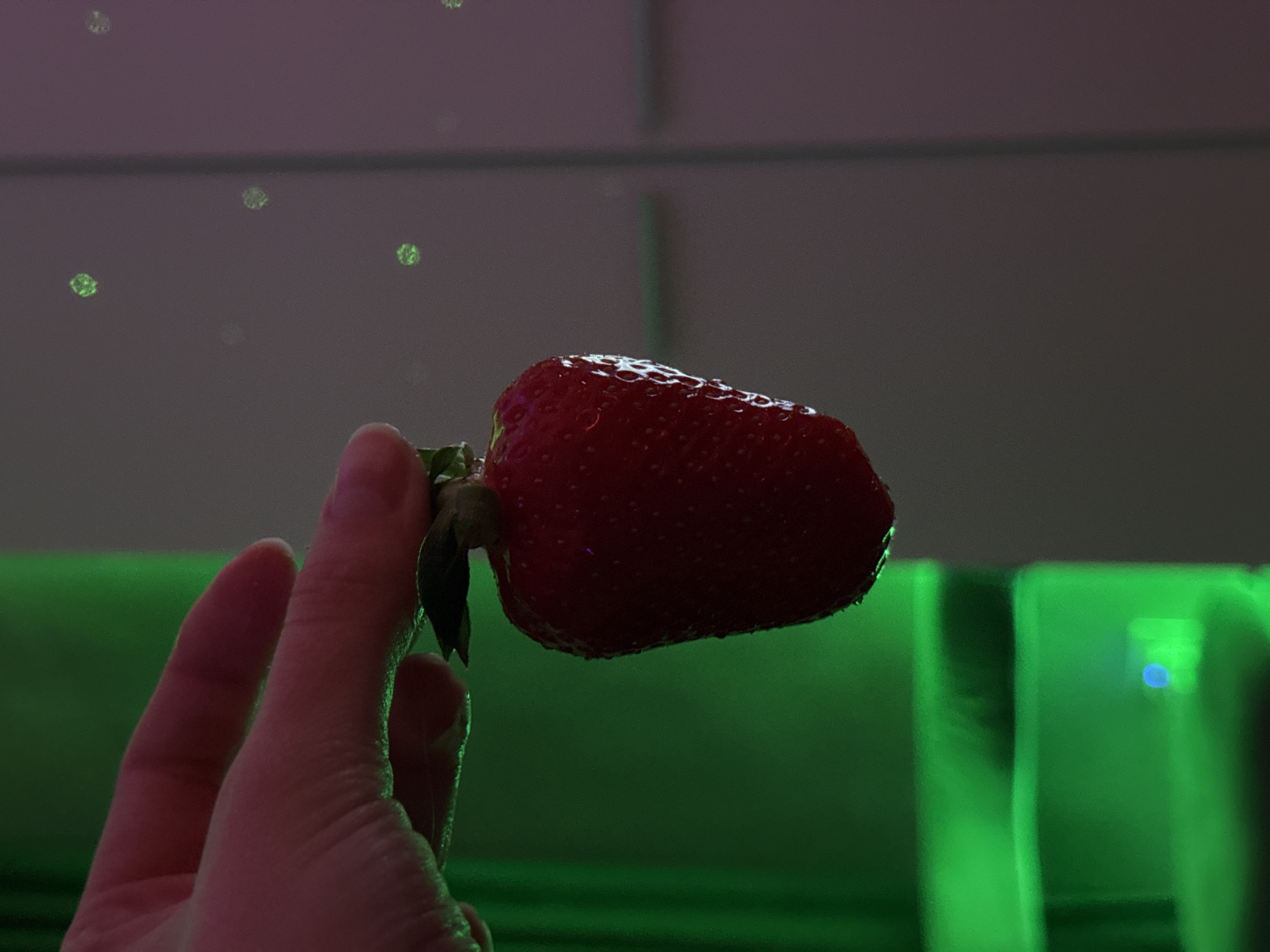 A hand holds a large strawberry against a background of green and muted gray. The strawberry is bright red and covered in small seeds. The hand is pale and the fingers are slightly curved. The background appears to be a wall with a green light source. Small, out-of-focus spots of light are visible on the gray part of the wall.
