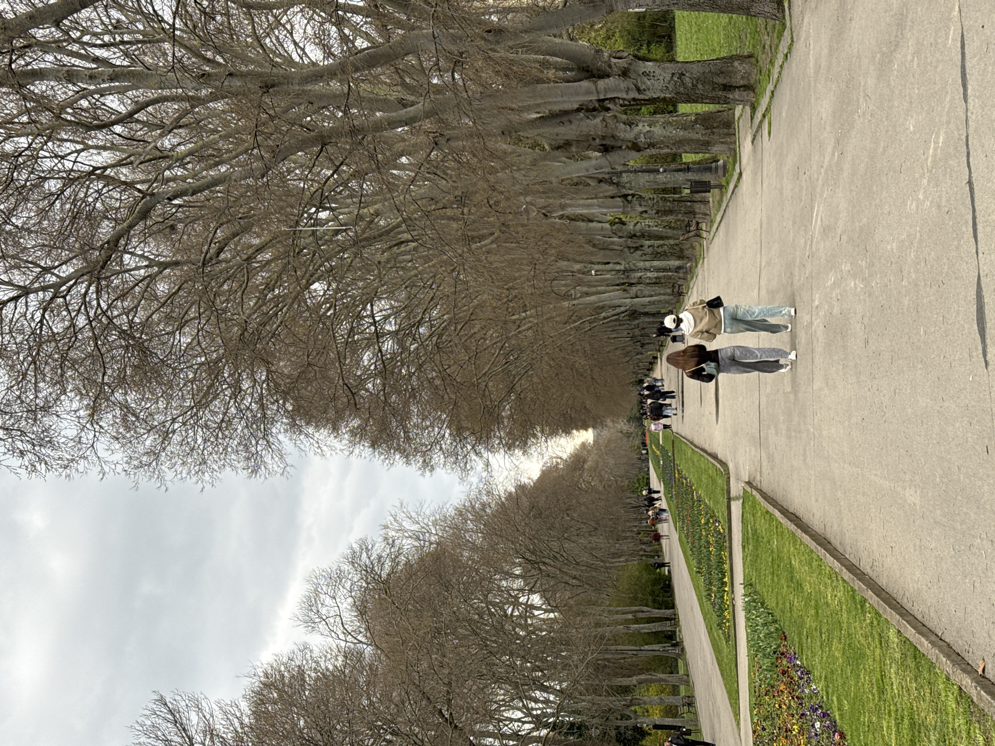 The image depicts a long, straight pedestrian walkway lined with rows of bare trees. Two people are walking along the path, with several other individuals and groups further in the distance. The walkway is flanked by green strips, one adorned with rows of colorful flowers. The sky is overcast. The scene is likely situated in Varna, Bulgaria, along a central promenade or park, based on the tree formation, walkway layout, and presence of flower beds.