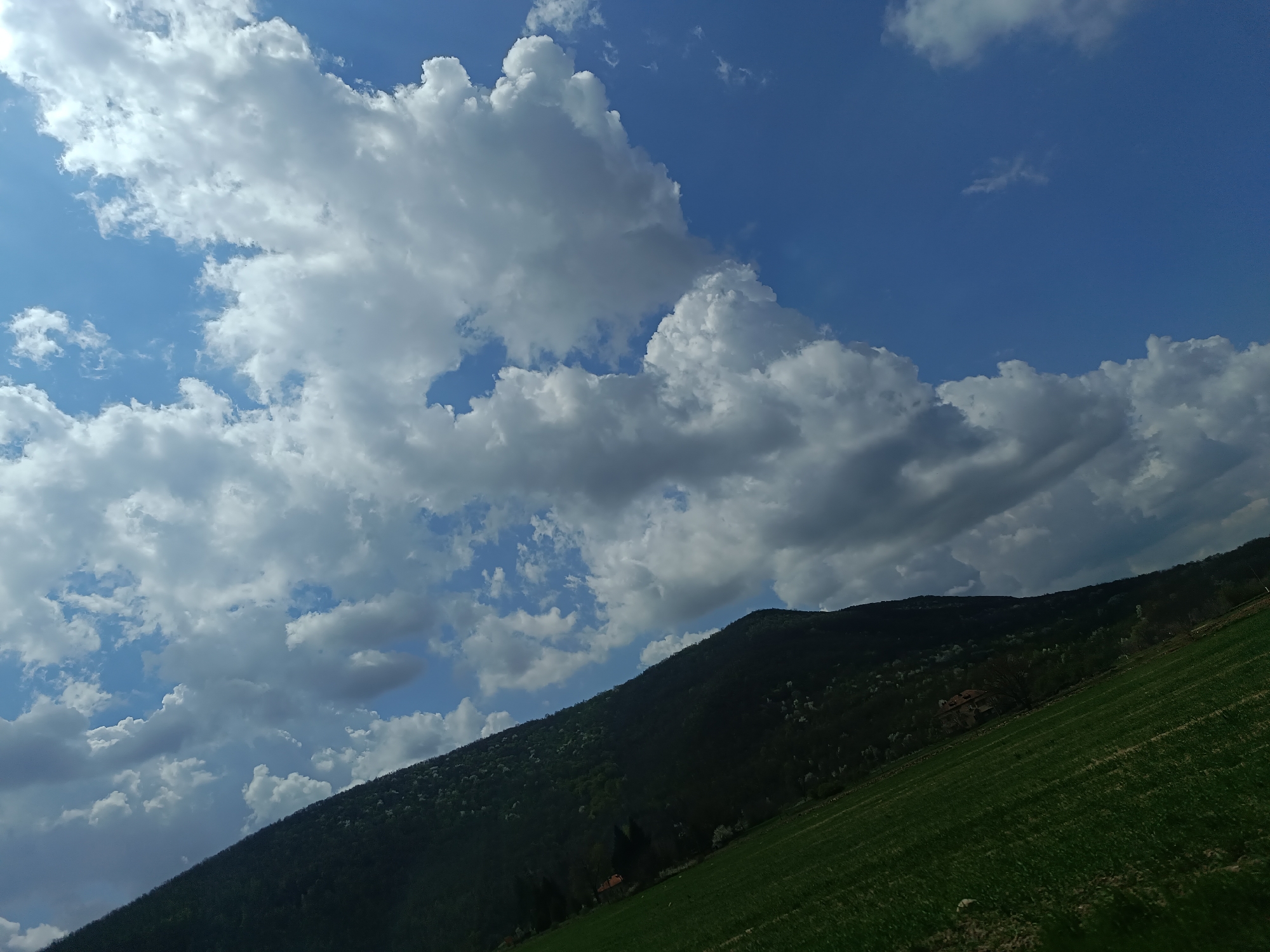 The image depicts a landscape scene with a clear blue sky partially filled with white, puffy clouds. In the lower half of the frame, a green, grassy hillside slopes upwards from left to right. A forested area covers the middle and upper portions of the hillside, becoming denser towards the peak. There are no visible people or animals. The location or city is not discernible from the visual information provided.