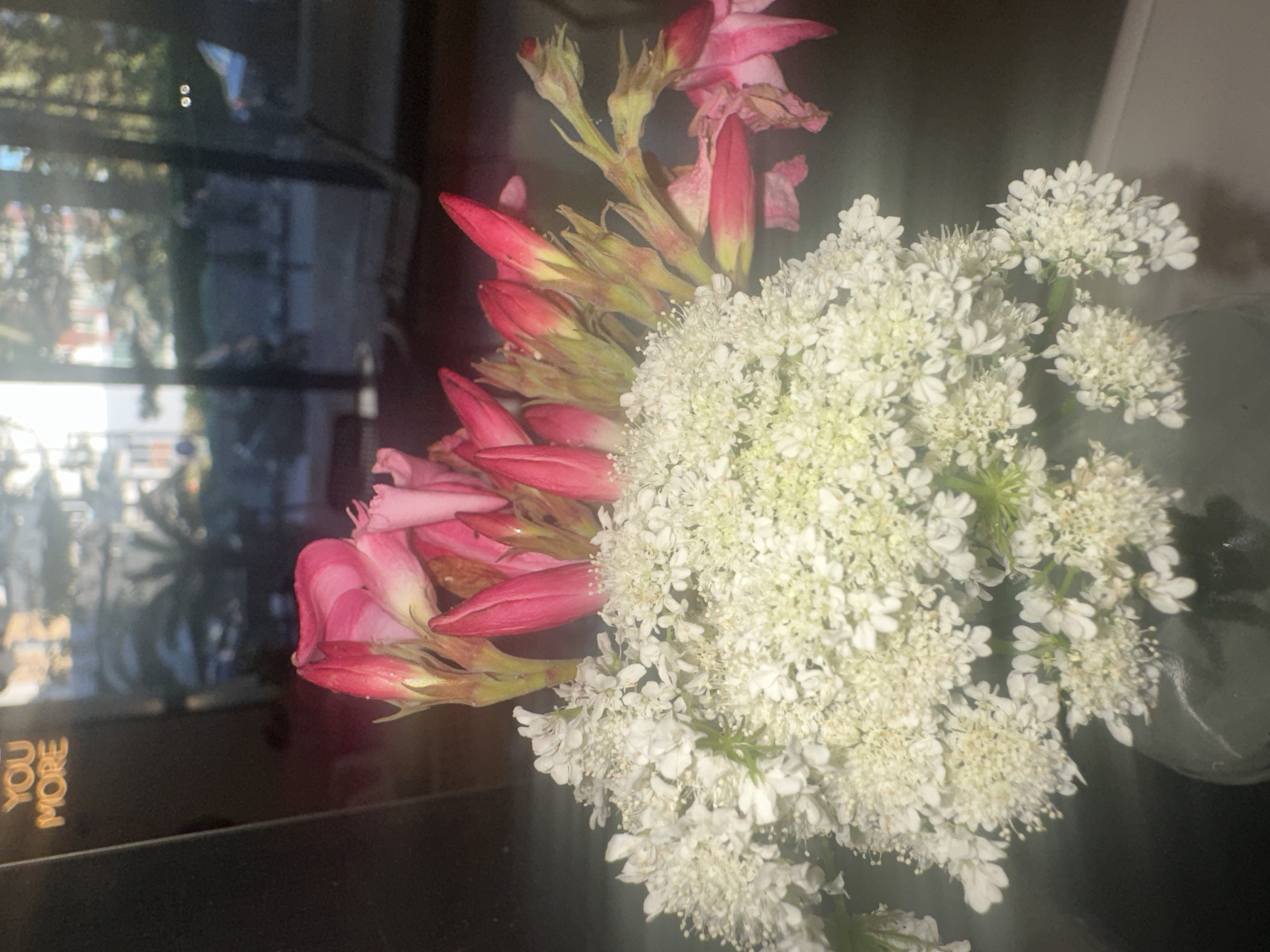 The image shows a bouquet of flowers in a vase on a dark surface. The bouquet consists of two distinct types of flowers: one with clusters of small white blossoms, and another with elongated pink buds. The arrangement is positioned indoors, as indicated by the presence of a window reflecting an outdoor scene, possibly featuring trees and buildings. The text "YOU MORE" is visible in gold on the left of the image. The location in Budva, Montenegro is unknown and cannot be determined from the image.