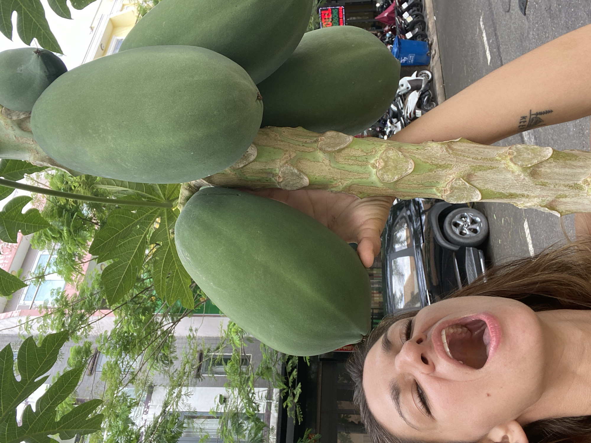 The image shows a woman posing with a papaya tree in Thuận An, Vietnam. The woman is Caucasian with brown hair and eyes closed, mouth wide open. Her right arm is visible, with a tattoo near her elbow. She is positioned on the right side of the frame. To the left of the woman are several large, unripe papayas still attached to the tree. The tree trunk is visible, with leaves surrounding the fruit. Behind the tree, there is a street scene with parked motorbikes, a black car, and buildings in the background. The setting appears to be an urban environment.