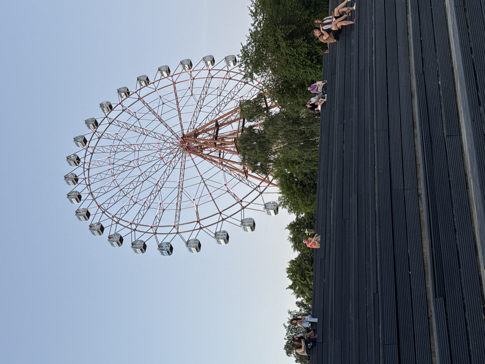 The image depicts a Ferris wheel at the Novosibirsk Central Park. The Ferris wheel is a large, intricate structure with a reddish-brown metal frame and numerous gondolas suspended from its circumference. It is set against a clear, pale blue sky. In the foreground, there are dark, tiered seating areas, likely made of wood or composite material, resembling an amphitheater. Several individuals are seated on these steps, appearing to be relaxing or socializing. On the far left, a group of three people are seated, two facing away from the camera and one with her back partially turned. To their right, a person in an orange shirt sits alone. Further to the right, a couple is seated together, with a man and a woman. The background is filled with lush green trees, indicating a park or green space. The overall scene suggests a leisure activity in an urban park setting.