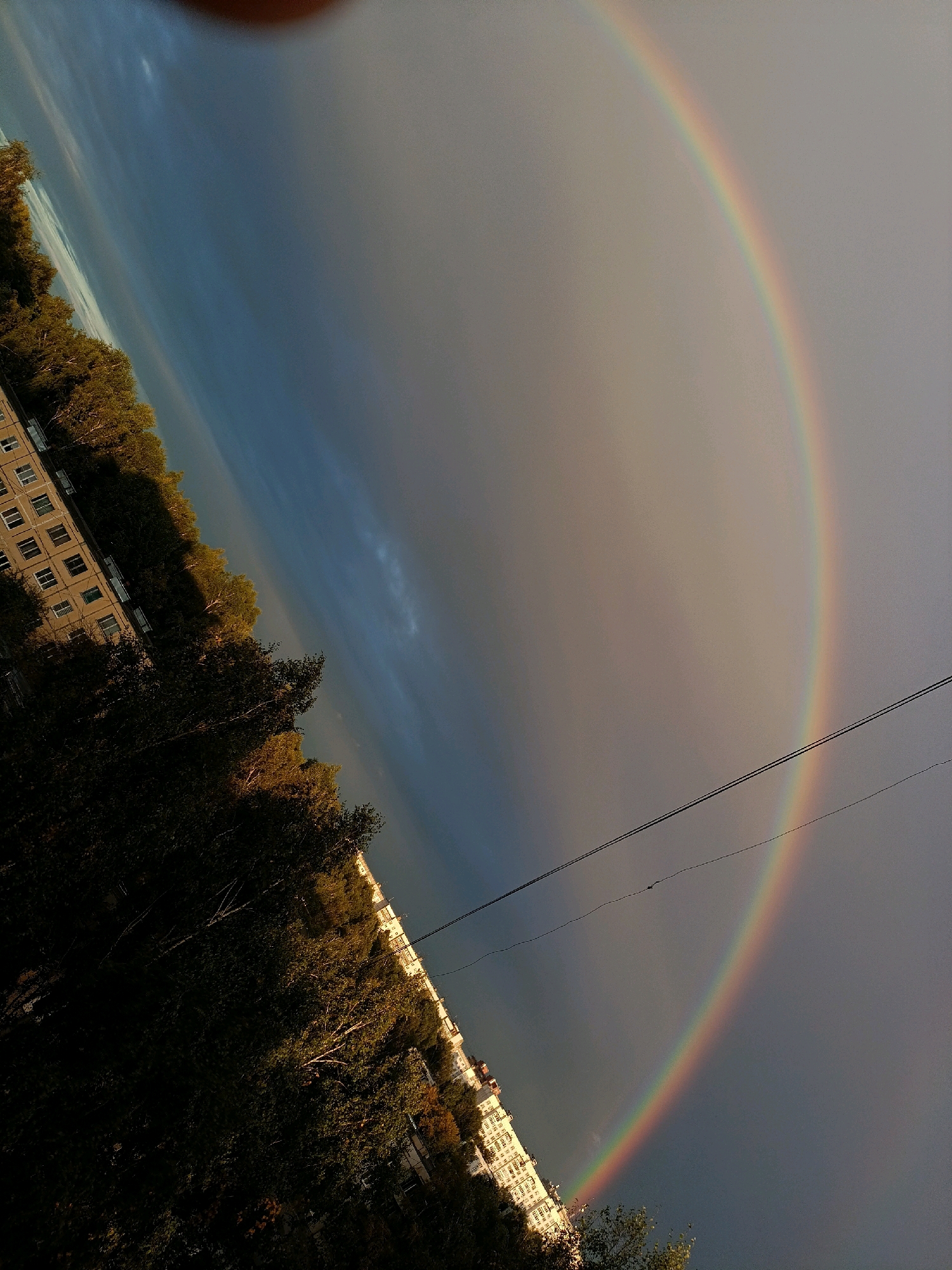 The image captures a diagonal view of a bright rainbow arcing across a gray, overcast sky. The rainbow's colors are vibrant and distinct, with red, orange, yellow, green, blue, and violet visible. The sky itself is a mixture of dark gray clouds and lighter, more diffused patches.
In the lower left quadrant of the image, a line of trees with lush green foliage runs diagonally upwards, partially obscuring a multi-story apartment building. The building, made of light-colored material, has numerous windows arranged in a regular pattern. The trees appear to be lit by sunlight, possibly from an angle, giving them a warm, golden-green hue.
In the upper part of the image, a blurry, out-of-focus brown object, possibly a finger or hand, partially obstructs the view of the sky. Two thin black electrical wires stretch horizontally across the frame, running from the left towards the right, intersecting the rainbow.
The scene suggests a post-rain or stormy weather condition, typical of an urban environment. The overall perspective is tilted, as if the photo was taken from a slightly angled position. The image is sharp and clear, with good contrast, except for the blurry object at the top.