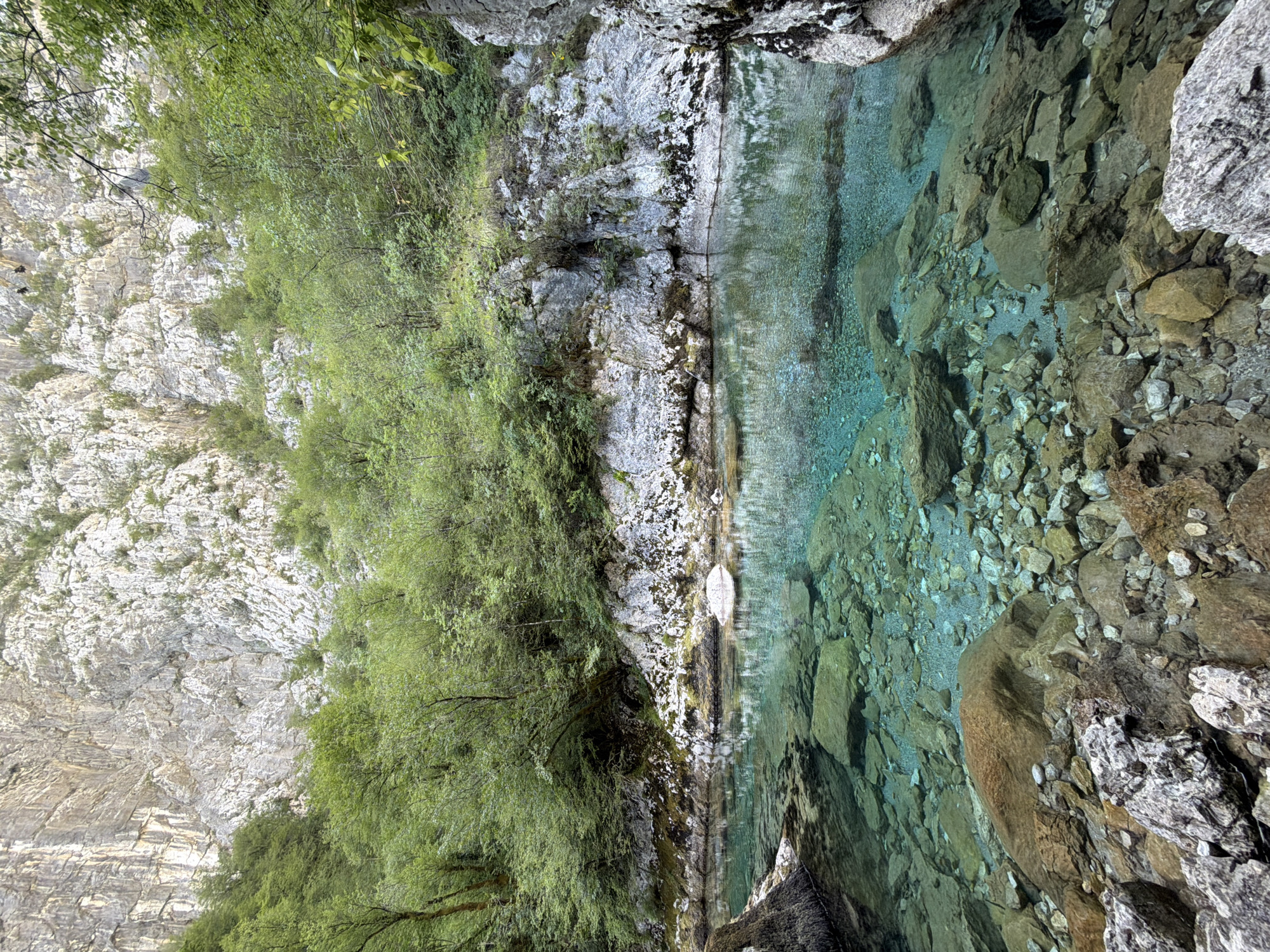 The image depicts a clear, turquoise river flowing through a mountainous gorge. The riverbed is visible, covered with rocks and pebbles. Lush green trees and vegetation line the banks of the river and climb the steep, rocky cliffs that dominate the background. The cliffs appear to be composed of layered rock, with some areas showing signs of erosion and vegetation growth. The water is calm, reflecting the surrounding scenery. The scene is set in a natural environment, likely a canyon or valley. The location is identified as Lazbina, Montenegro. There are no people or animals visible in the image.