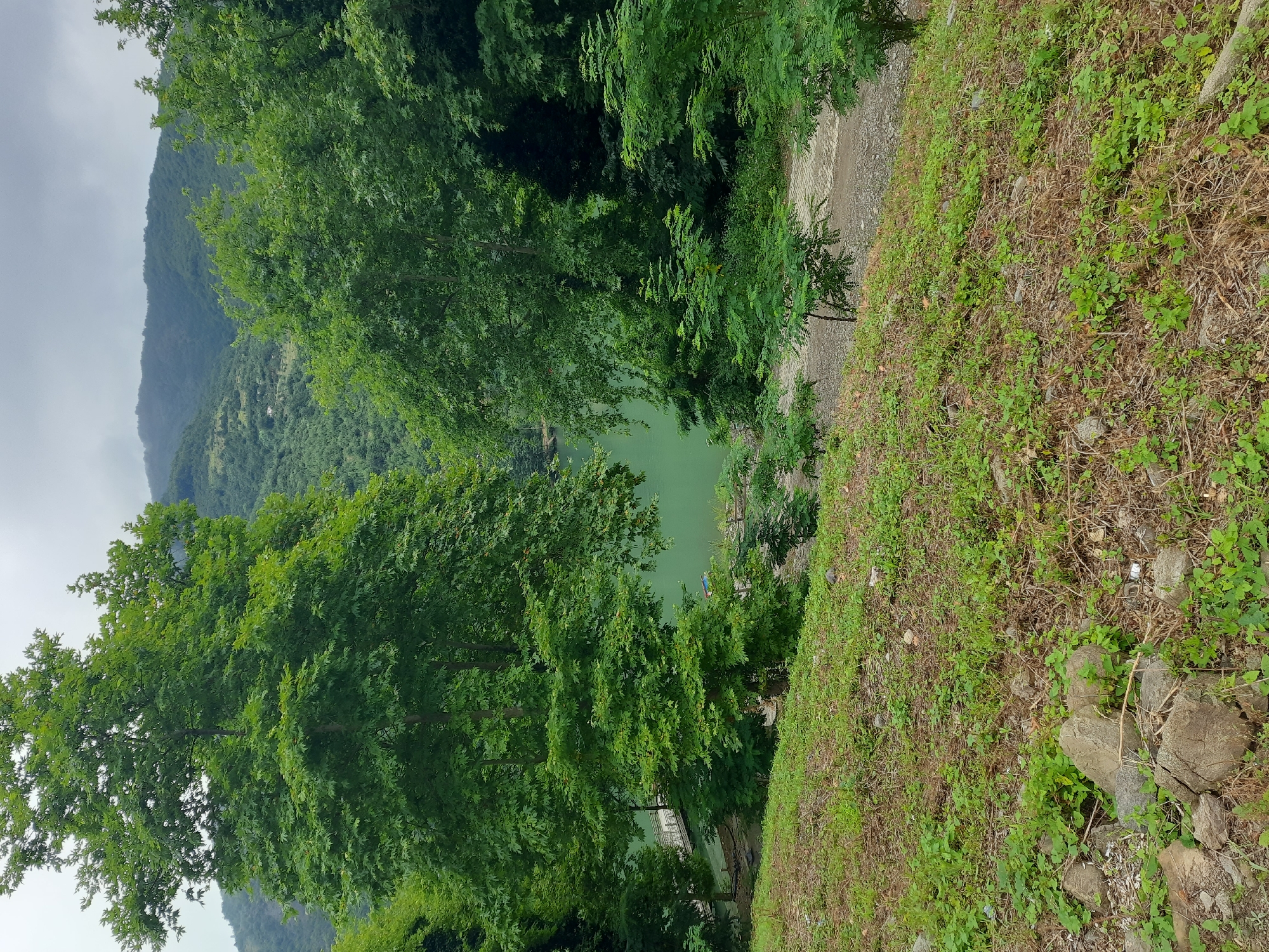 This image depicts a scenic view of a lake nestled amidst verdant, rolling hills and dense forestation. In the foreground, a grassy incline with scattered rocks and dry vegetation leads the eye towards the middle ground where tall, leafy trees frame a view of a tranquil, greenish body of water. A small, light-colored pier extends into the lake from the left bank. A narrow, unpaved pathway runs along the edge of the lake, disappearing into the trees on the right. In the background, layered mountain ranges, covered in thick green foliage, recede into a hazy, overcast sky. The overall impression is one of natural beauty and serenity, possibly in a rural or park-like setting. The presence of the pier and pathway suggests that this location may be accessible to visitors. The specific location in Ayvacık, Turkey, cannot be determined from the visual information alone.