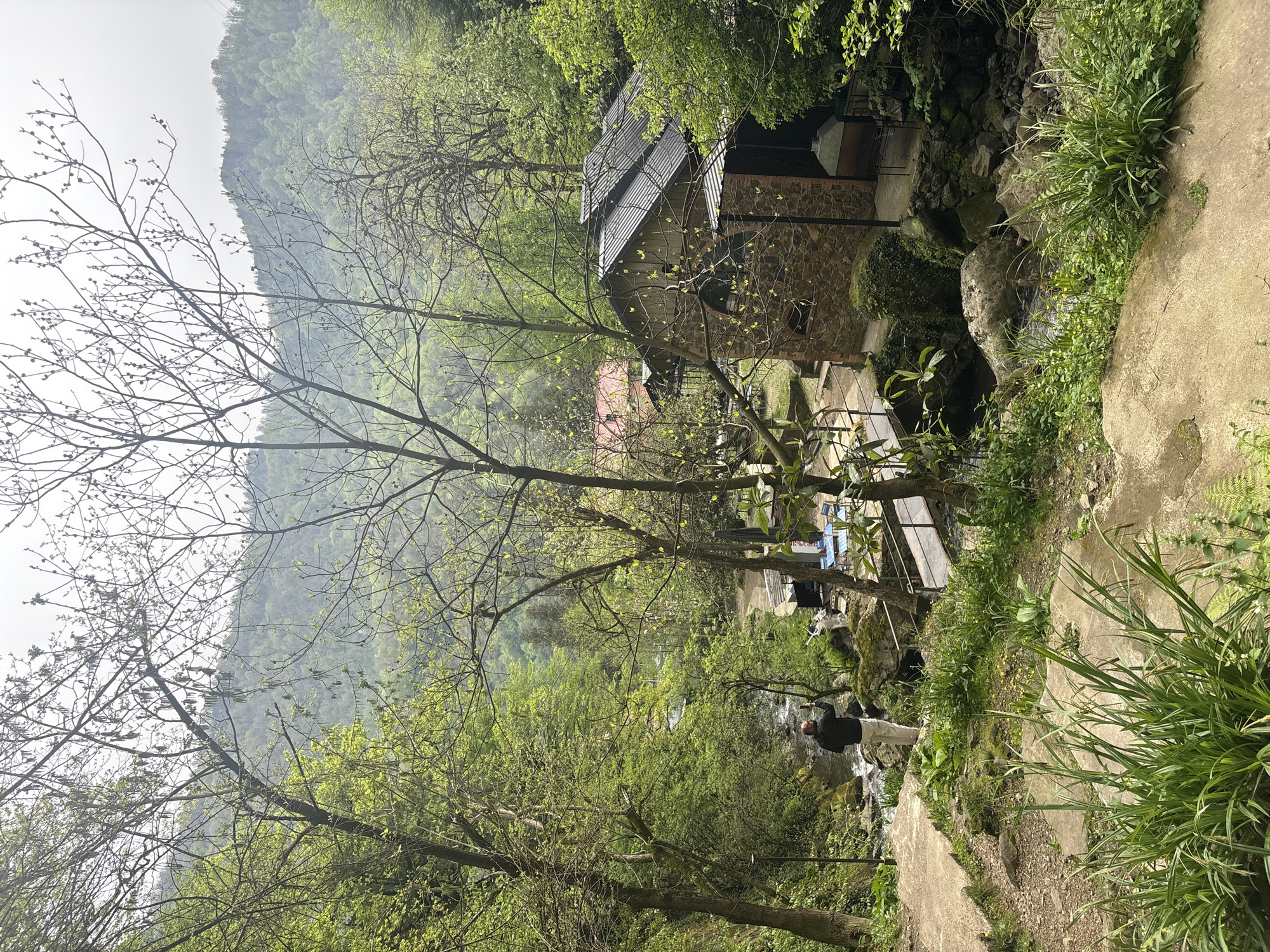 The image displays a serene, lush green landscape in a valley or mountainous region, consistent with Zeda Makhuntseti, Georgia. The scene is dominated by dense vegetation, featuring large trees with bare branches just beginning to bud and others adorned with vibrant green leaves, suggesting late winter or early spring. Distant hills or mountains, covered in thick foliage, rise in the background under an overcast or hazy sky, creating soft, diffuse daylight.
In the middle ground, a rustic stone building with a dark, possibly corrugated metal roof is nestled among the trees. It features small windows and appears to be a dwelling or a similar structure. To its left, a less distinct building with a red roof is partially visible. Adjacent to the stone building, an outdoor grill or furnace constructed from stone and brick is also present.
A clear stream or small river flows through the lower portion of the scene, its banks lined with rocks covered in moss and various green plants. Concrete or stone pathways meander through the foreground and lead towards the water. A person, dressed in a dark jacket and light pants, stands by the stream in the lower middle ground. Their back is mostly turned, and they appear to be observing the flowing water or something in their hand, suggesting a moment of quiet contemplation or appreciation of nature. Some indistinct blue objects, possibly outdoor furniture, are also visible near the stream on the left. No visible text is present. The overall atmosphere conveys tranquility and natural beauty.