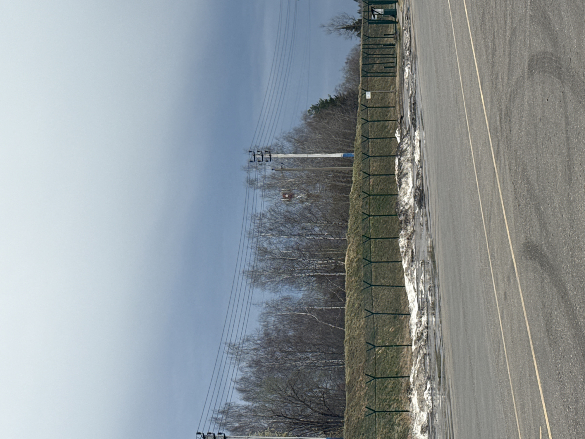 The image depicts a street in Lupanovo, Russia. The street is paved with asphalt and has yellow lines indicating lanes. Adjacent to the street is a grassy area with a green metal fence running along its edge. Behind the fence are trees, some of which appear bare. Overhead, power lines stretch across the sky. There is snow along the fence line. The sky is light blue. There are some power line towers visible.