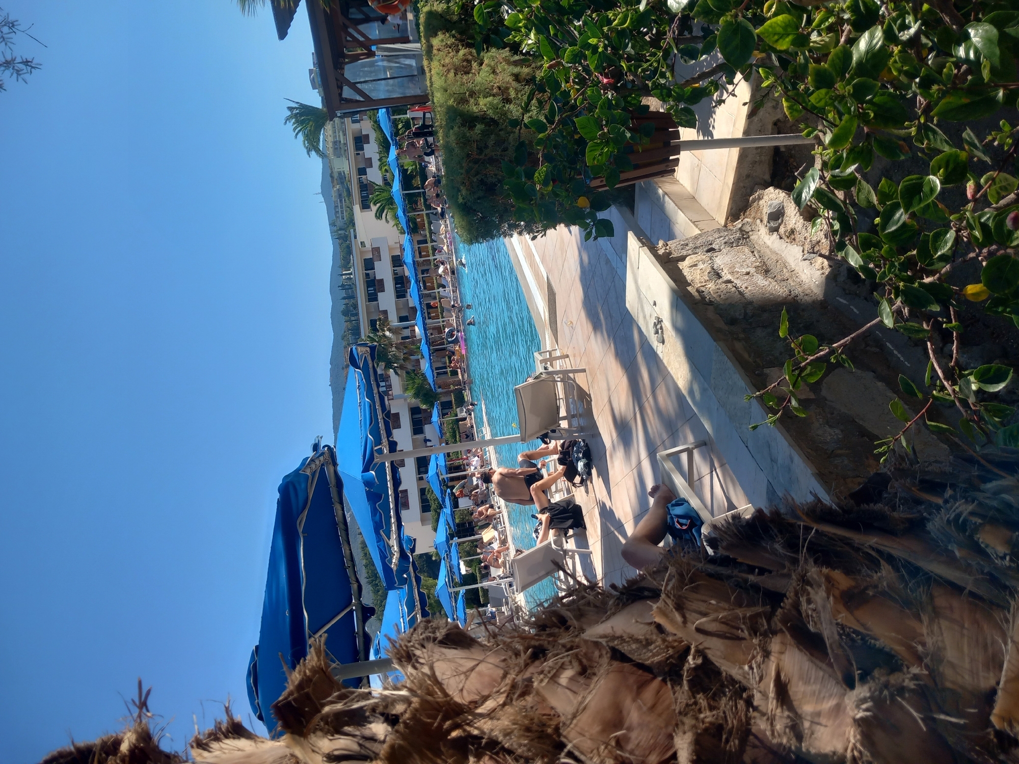 In Kos, Greece, on a sunny day, a resort pool area is depicted. A large palm tree trunk is in the foreground, partially obscuring the view of a swimming pool filled with people. Several blue umbrellas are set up around the pool, offering shade to lounge chairs. Some individuals are sunbathing on the chairs, while others are swimming or walking near the pool. In the background, a multi-story building, likely a hotel, is visible, surrounded by greenery and hills under a clear blue sky. The scene appears to be a typical vacation resort environment.