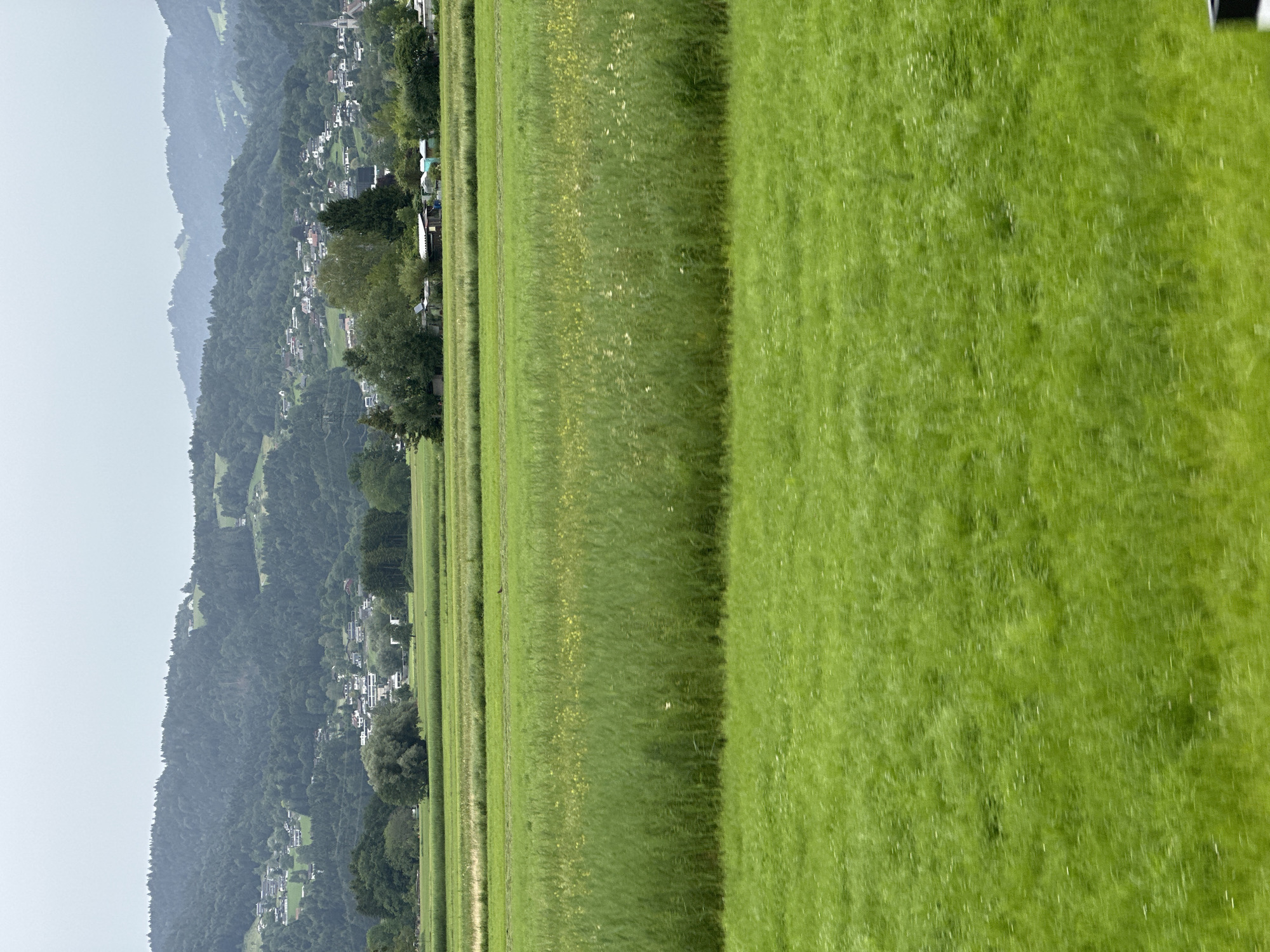 The image depicts a rural landscape with rolling green fields in the foreground and a town nestled on a forested hillside in the background. The sky is overcast, suggesting a cloudy day.
In the middle ground, a village with white houses and red roofs is visible scattered across the gentle slopes of the mountains. Several church steeples pierce the skyline, indicating a significant presence of religious buildings within the town. Dense green forests cover the upper portions of the hills.
The foreground is dominated by vast expanses of lush green fields. These fields appear to be agricultural land, with some areas showing different textures and shades of green, possibly indicating different crops or stages of growth. In the far distance, a few trees and small structures are sparsely visible along the edge of the fields, bordering the town.
The overall impression is one of a serene and picturesque rural environment, likely in a mountainous region. The location is identified as Dornbirn, Austria, a city known for its proximity to the Alps. The scene captures a typical view of the Austrian countryside.