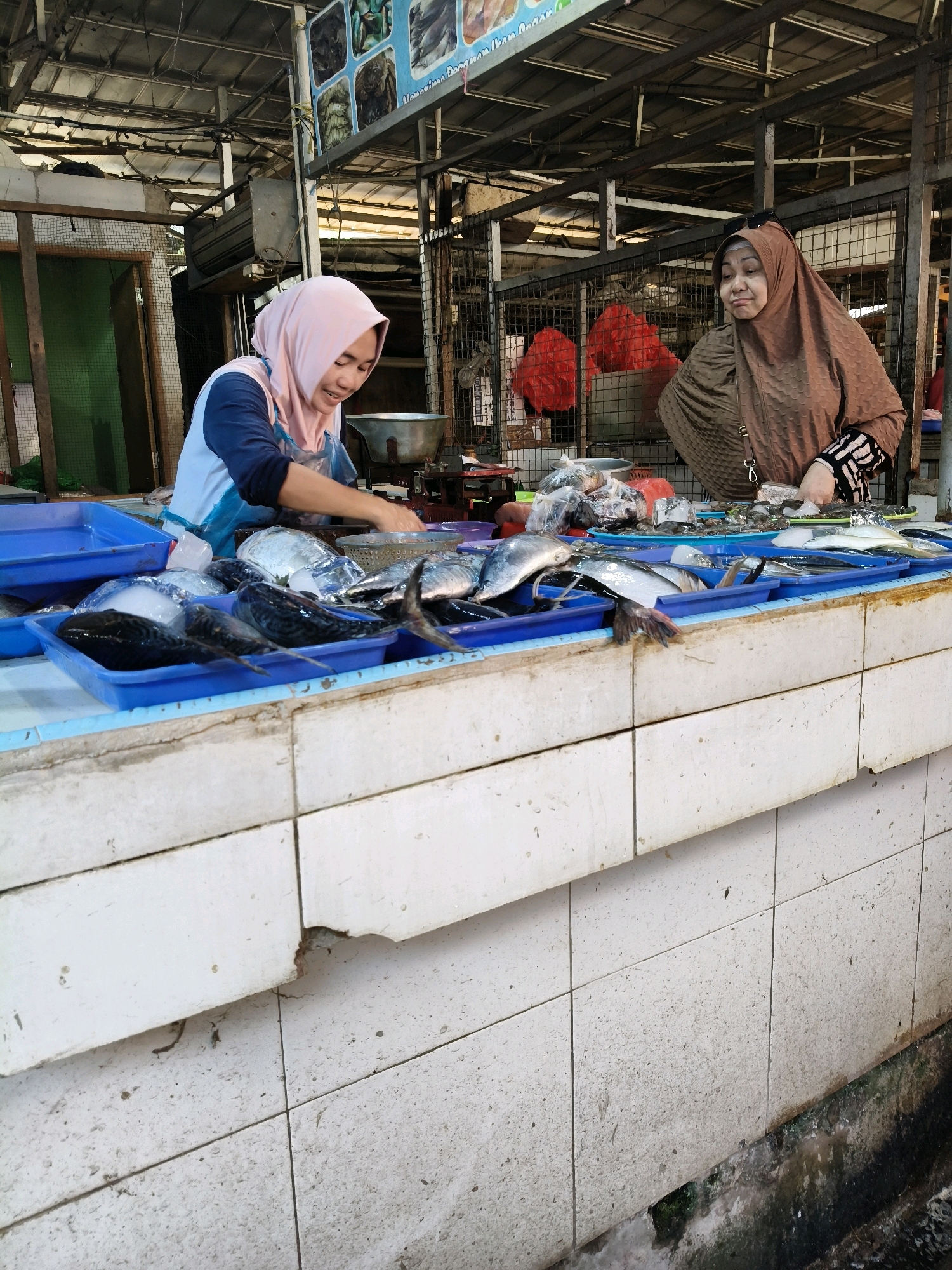 A woman in a pink headscarf and blue and white apron stands behind a display of fresh fish in a market stall. She is holding a piece of fish and appears to be weighing or preparing it. To her right, another woman in a brown headscarf stands with her arms crossed, looking towards the viewer. The fish are arranged in blue plastic trays on a tiled counter. Behind the women, a metal cage contains red plastic bags. The market appears to be indoors, with a metal roof structure visible above. The floor of the stall is tiled, and there is a drain in the foreground with murky water. The overall scene suggests a bustling fish market environment in Setiamekar, Indonesia.