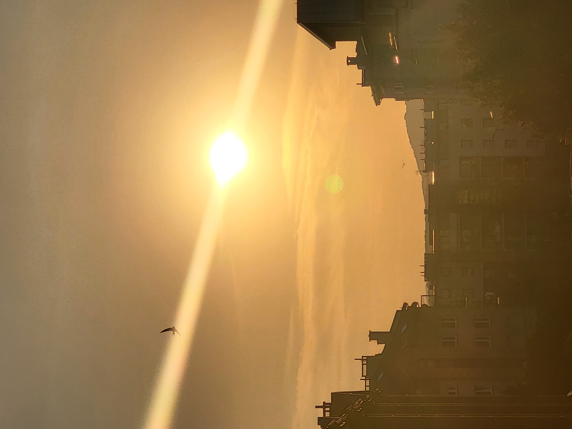 The image depicts a city skyline at sunset. The sun is bright and positioned in the upper right quadrant of the frame, casting a warm orange glow across the sky and clouds. A sunbeam extends diagonally from the sun across the image. A single bird is in flight in the upper left quadrant of the image, silhouetted against the bright sky. Below the sky, the outlines of apartment buildings and rooftops are visible. Some buildings have chimneys, and windows are sparsely visible. The overall impression is a tranquil, urban sunset scene. The location is Unknown, Unknown.