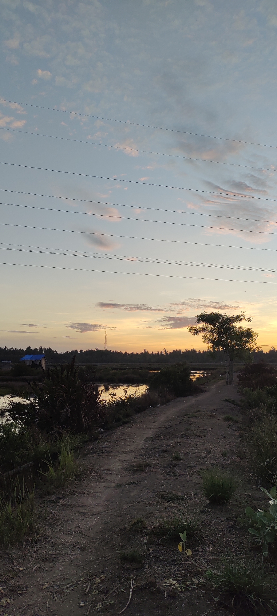 This is a vertical, full-shot photograph taken at dusk in Lhokseumawe, Indonesia. The scene depicts a rural landscape with a dirt path winding through overgrown vegetation. To the left of the path is a body of water, likely a rice paddy or pond, reflecting the soft colors of the sunset. In the distance, a line of trees and palm trees forms the horizon, with a tall tower visible in the center. A small, blue-roofed building is situated among the trees on the far left. Overhead, several power lines stretch across the sky, which is a gradient of pale blue and warm orange, with scattered clouds tinged pink. The foreground is dominated by the dirt path and a variety of grasses and plants. The overall impression is one of a peaceful, undeveloped rural setting during twilight.