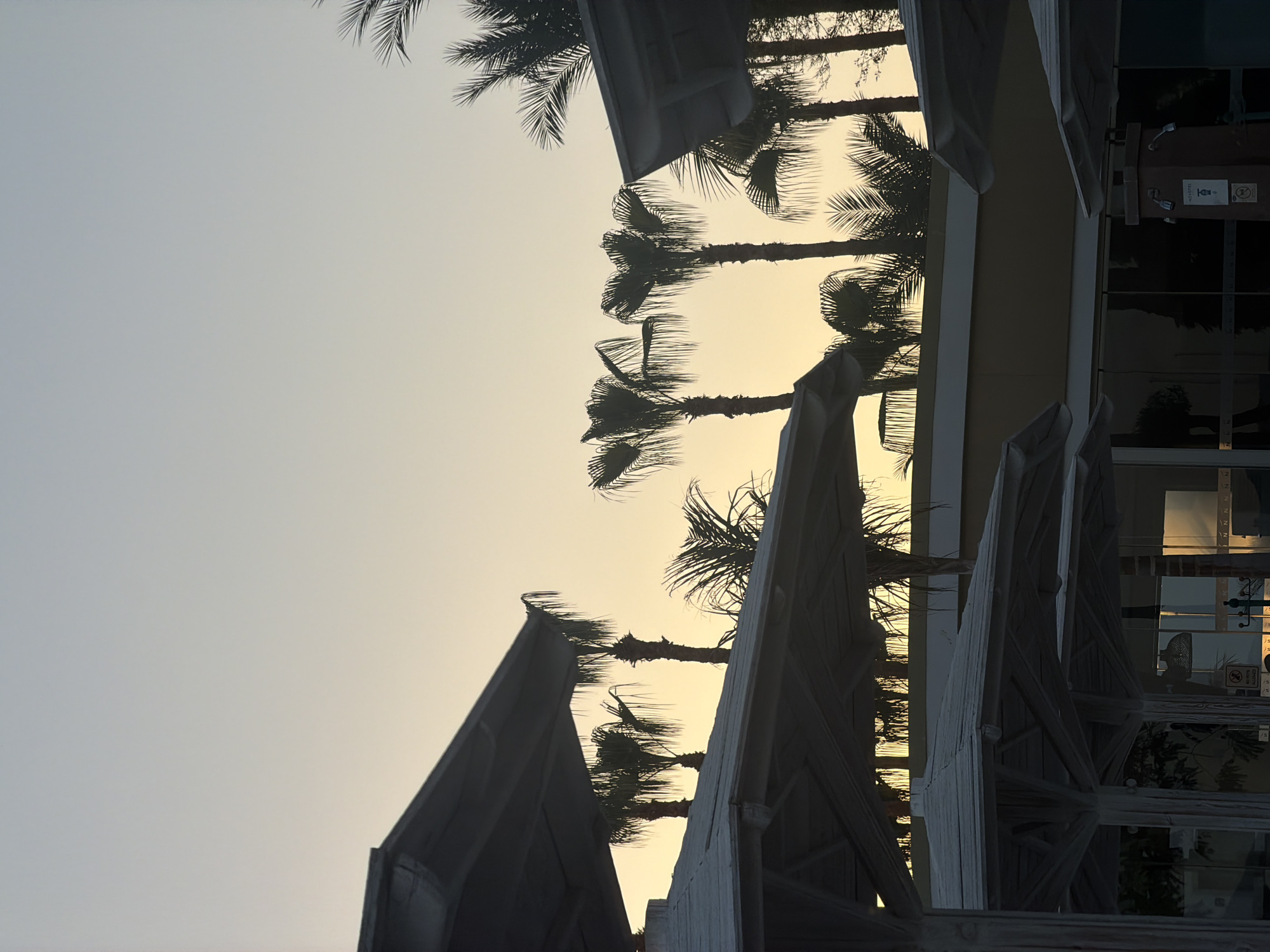 This is a vertical, medium-shot photograph of a tropical resort setting in Sharm El Sheikh, Egypt, during either sunrise or sunset. The sky is a soft gradient of pale blue at the top transitioning to a warm, pale yellow near the horizon. Silhouetted against this sky are several palm trees, their fronds creating delicate, lacy patterns. In the foreground, several large, white, canvas umbrellas, likely at a poolside or beach area, are also in silhouette. Their structural supports are visible, suggesting they are open and providing shade. Some of these umbrellas are angled towards the viewer, with their tops creating a layered effect. Behind the umbrellas and palm trees, the upper portion of a building is visible, a light-colored structure with dark, reflective windows. The overall impression is one of a peaceful, warm climate, characteristic of a resort destination in Egypt. There are no people visible in the frame.