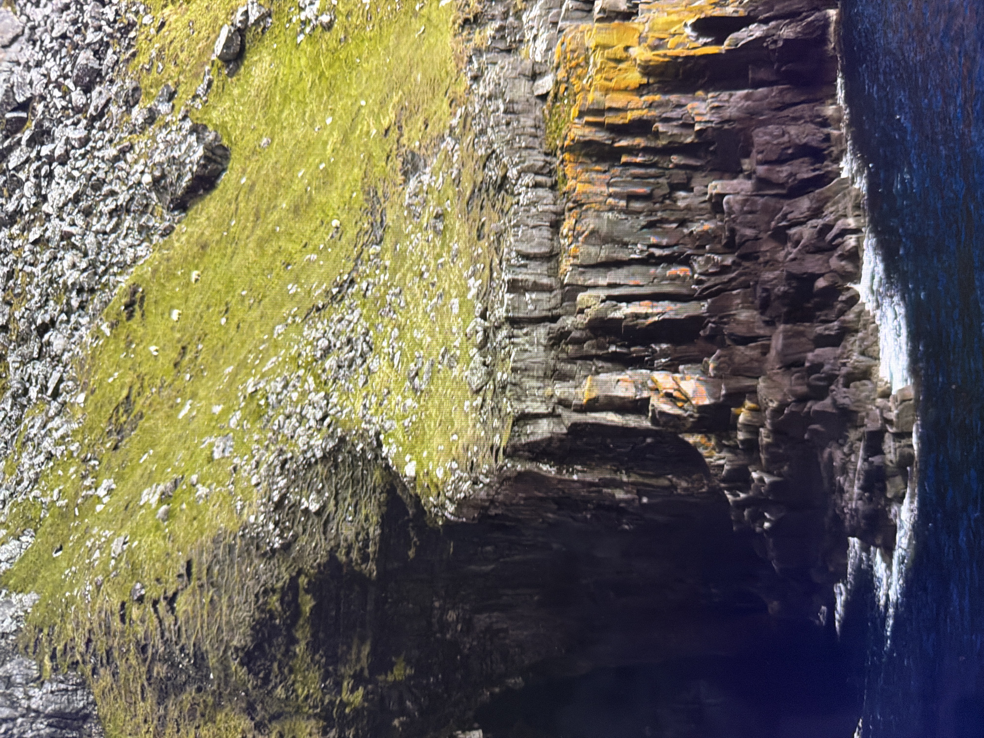 The image depicts a rugged, natural coastal landscape, characterized by steep, dark rock cliffs that plunge into dark blue water. The cliffs exhibit distinct vertical striations and are partially covered in green vegetation and patches of bright orange and yellow lichen or moss. The top of the cliffs is also covered in a mix of grass and loose grey rocks. The water at the base of the cliffs is disturbed, with white foam indicating waves or currents washing against the rocks. There are no visible structures or signs of urban development. The scene is entirely devoid of human presence or activity. This natural environment does not resemble any known location within the city of Kyiv, Ukraine, which is situated inland and is characterized by a river valley and urban landscapes, not coastal cliffs.
