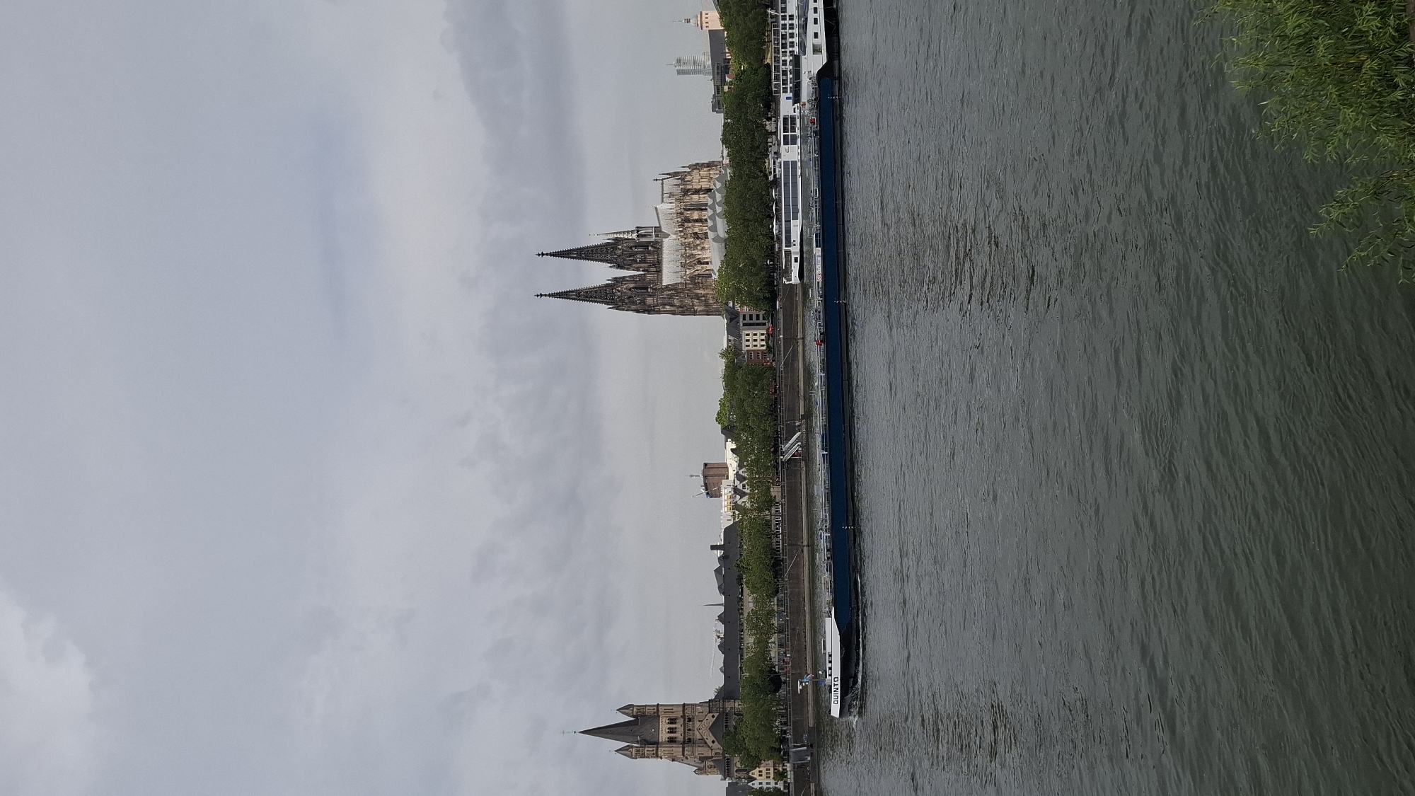 The image depicts a wide river, likely the Rhine, flowing through the city of Cologne, Germany. The sky is overcast with gray clouds, creating a muted light. In the background, the iconic Cologne Cathedral, a magnificent Gothic structure with twin spires, dominates the skyline. To the left of the cathedral, another large church with multiple spires is visible. A line of green trees separates the river from the buildings. A long, dark blue barge with the name "QUINTA" printed on its side is moving along the river. Behind the barge, the white superstructure of another vessel, possibly a cruise ship, can be seen. The river's surface is rippled, reflecting the overcast sky. Green foliage is visible in the bottom right corner, suggesting the riverbank. The scene is devoid of any visible people.