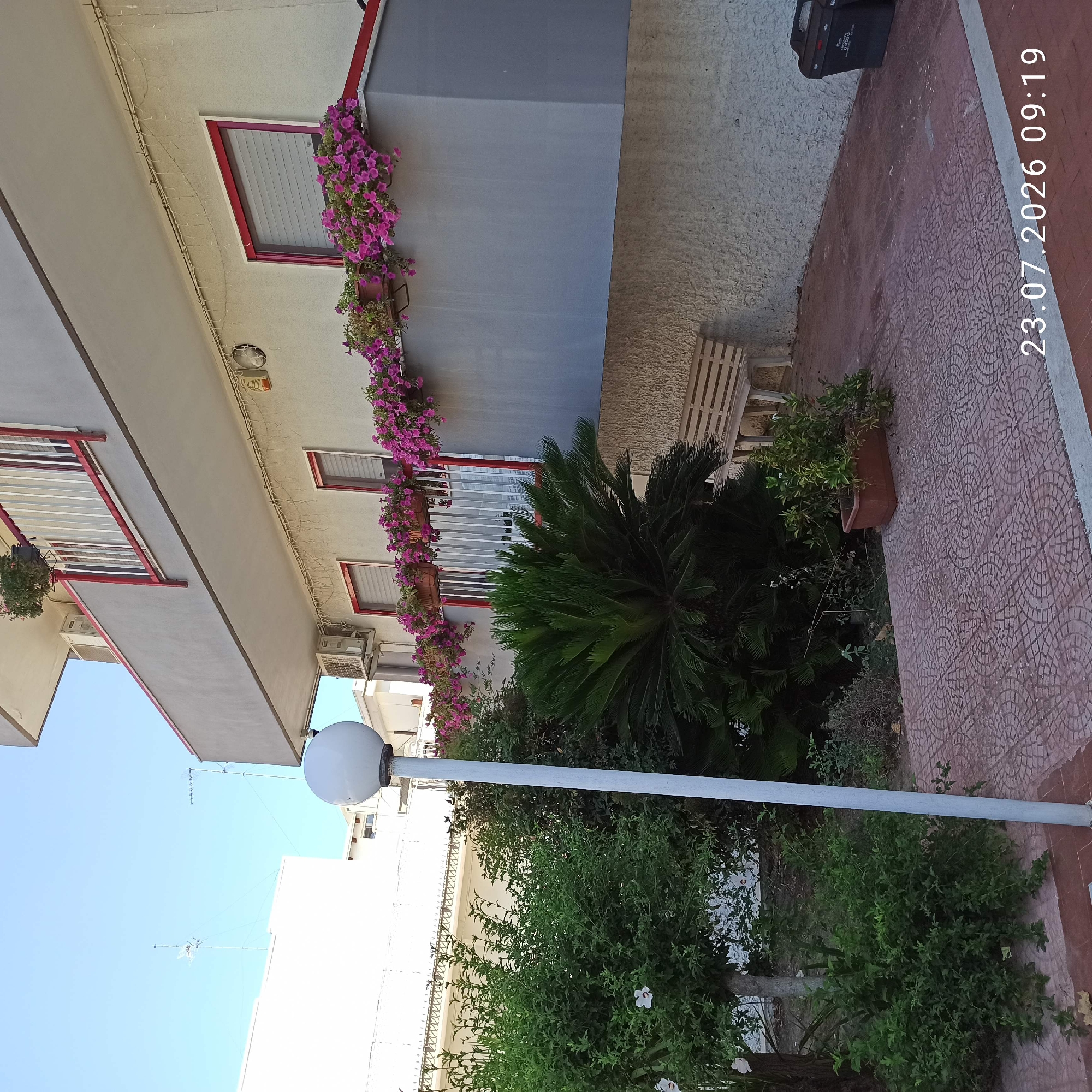 The image captures an outdoor scene in front of a building, likely in Bitonto, Italy, given the timestamp and typical architecture. In the foreground, a white lamppost stands tall to the left of center. To its left, lush green bushes and a cycad plant are visible, with a white flower on a bush. Behind the foliage, a section of a building with a gray facade is prominent.
The building features a balcony adorned with numerous pink petunias in planters, extending across its length. Below the balcony, there are two windows with red frames and white blinds. Further down, a portion of the building's wall has a rough, textured finish. In front of this textured wall, a light-colored wooden bench is placed. The ground is paved with reddish-brown interlocking tiles that form a circular pattern. To the far right of the image, a black storage bin is visible. The sky above is clear and blue. The timestamp "23.07.2026 09:19" is superimposed on the lower right corner of the image.
