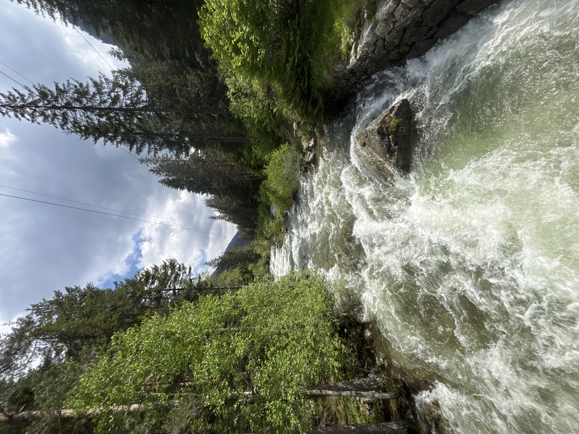 This vertical photograph captures a turbulent mountain river flowing through a forested valley in Beli Iskar, Bulgaria. The river, occupying the central and lower portions of the frame, exhibits significant white rapids and foam, indicating a swift current over rocks. The water itself appears a light, milky green. On the left bank, dense coniferous trees, primarily tall, dark green evergreens, ascend the steep slope. Closer to the river, lighter green deciduous trees with pale trunks are visible. The right bank also features a dense coniferous forest, with a stone retaining wall constructed along the water's edge in the foreground, interspersed with green shrubs and grass. The sky above is partially cloudy, showing patches of blue sky amidst large, bright white and darker grey clouds. Several thin, dark power lines or cables stretch horizontally across the upper third of the image, traversing the sky and passing above the treetops. No people or animals are visible in the scene.