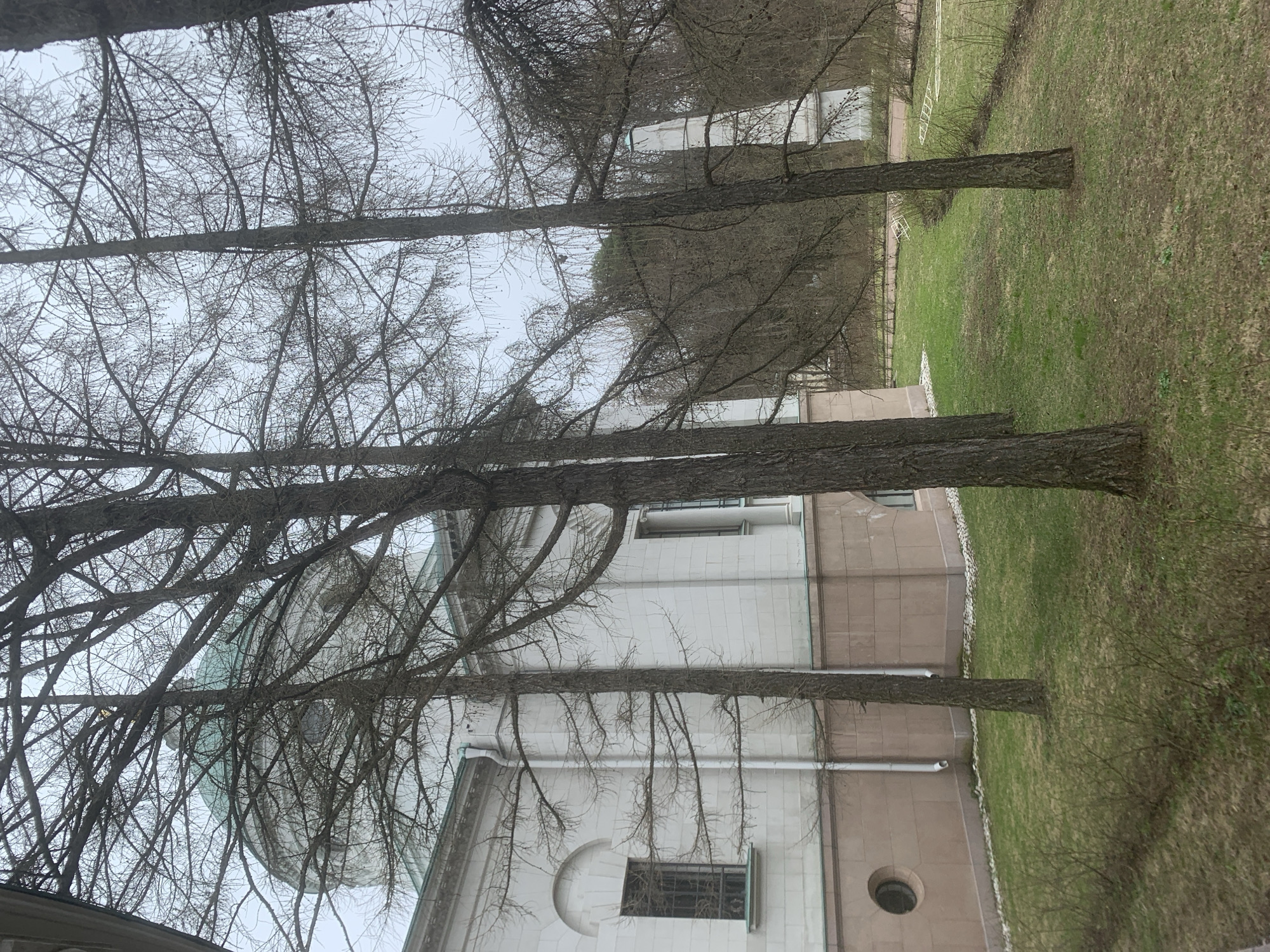 The image depicts a view of the Arkhangel’skoye Estate in Russia, as framed by several bare trees in the foreground. The architecture of the building is visible, including white walls, windows, and a dome. Adjacent to the building is a lawn. The sky is overcast.