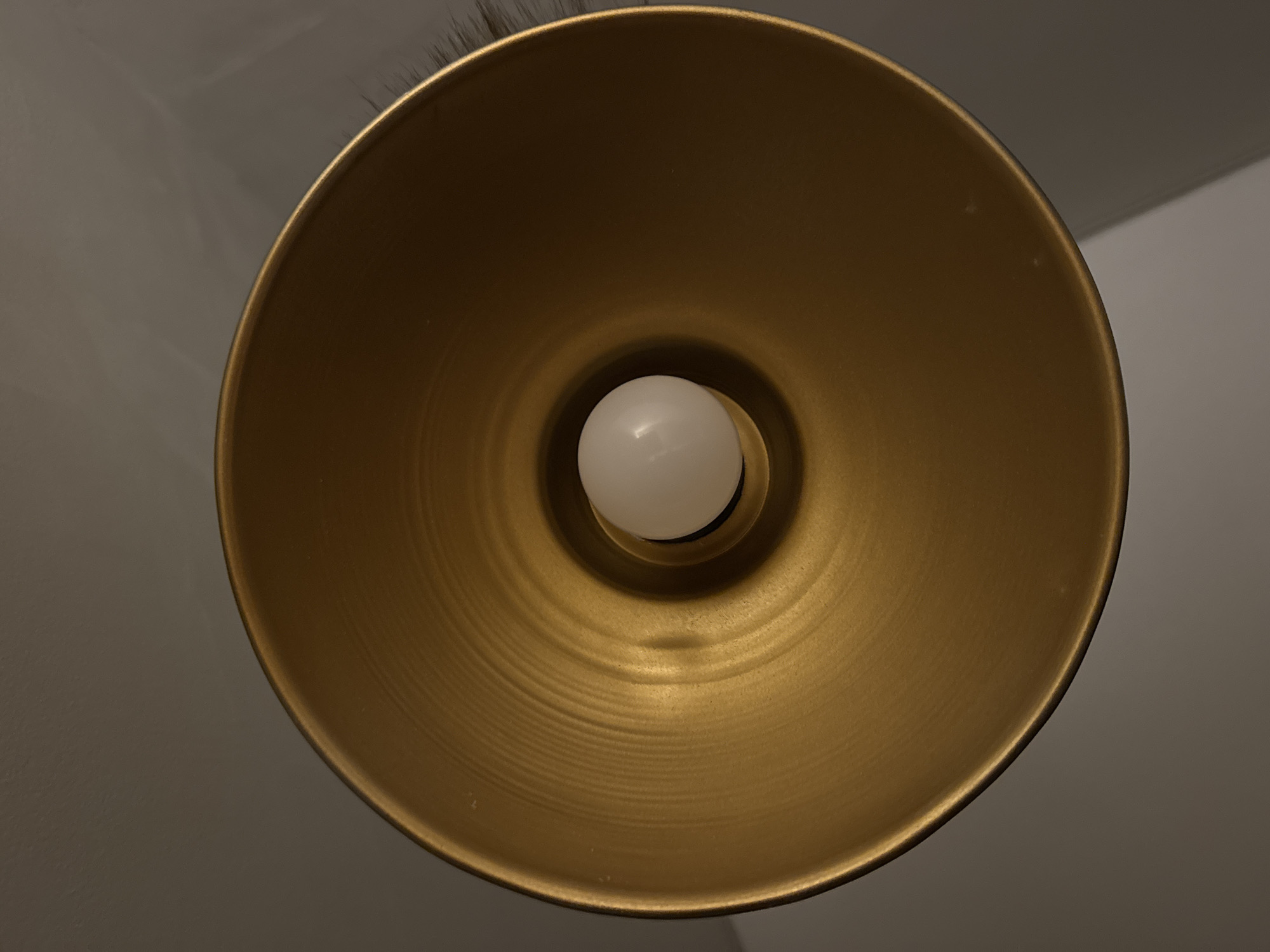 A bottom-up view of a gold-colored lampshade with a spherical white light bulb in the center. The lampshade is positioned against a light gray or white wall. There are thin, dark strands visible at the top edge of the lampshade, possibly dust or debris. The location and city are unknown.