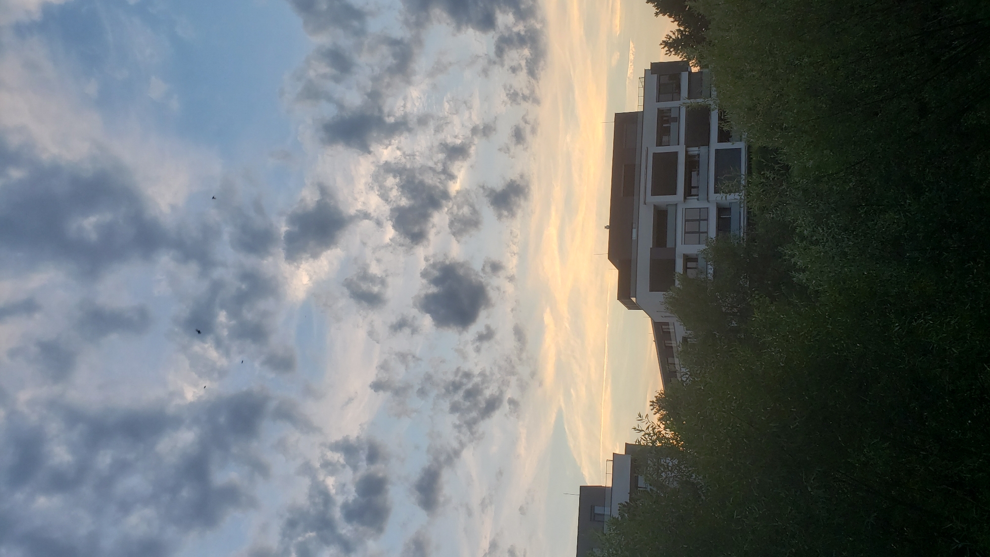 The image shows a wide shot of a building with a modern architectural design, situated behind a dense line of dark green trees. The building appears to be multi-story with balconies and large windows. Above the building, the sky is visible, filled with a mix of gray and white clouds, with some patches of lighter blue and a warm orange glow suggesting either sunrise or sunset. Several small, dark shapes resembling birds are scattered across the sky. The overall scene depicts an urban or suburban environment at dusk or dawn, with the building being the primary man-made structure and the trees providing a natural foreground. The specific location in Prešov, Slovakia is not discernible from the visual information alone.