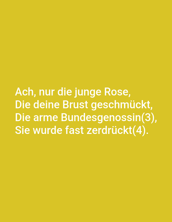 The image contains German text on a yellow background. The text reads "Ach, nur die junge Rose, Die deine Brust geschmückt, Die arme Bundesgenossin(3), Sie wurde fast zerdrückt(4)." This translates to "Oh, only the young rose, that adorned your breast, The poor comrade, she was almost crushed." There is no information in the image to indicate a location in Tallinn, Estonia, nor are there any people, subjects, or objects other than the text itself.