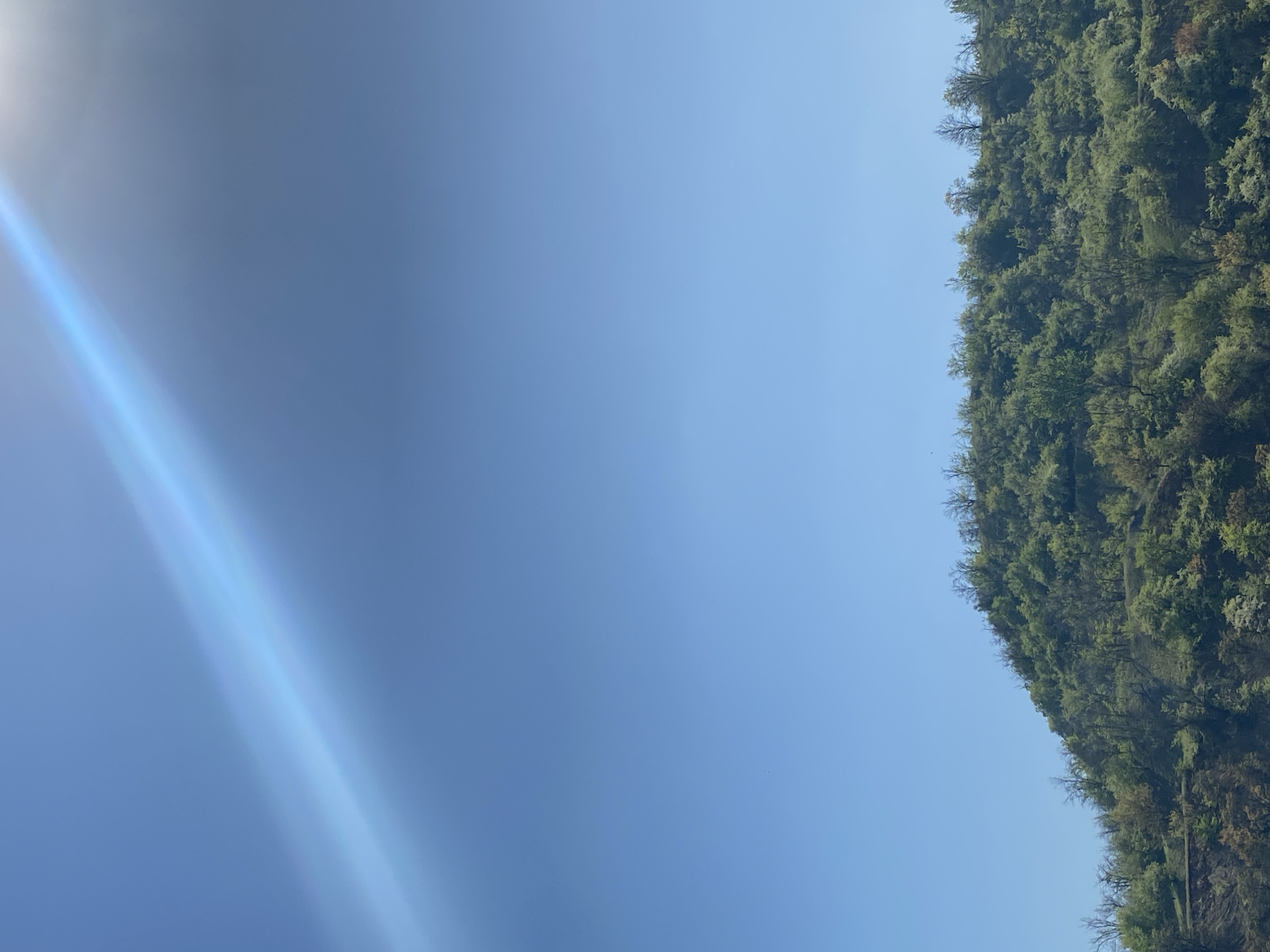 The image depicts a scene where the sky occupies the left portion of the frame, exhibiting a blue gradient with a noticeable light flare on the upper left. Adjacent to the sky is a densely vegetated area, likely a hillside or mountain slope covered in trees. The location appears to be outdoors in a natural environment, but the specific city and state are unknown.