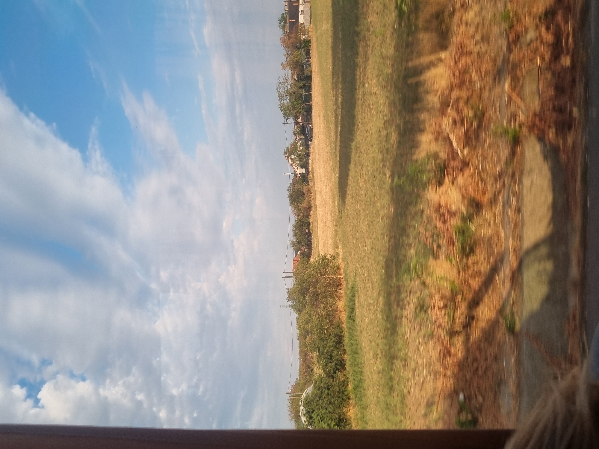 This image depicts a rural landscape with a dry, golden field in the foreground and middle ground. The field is bordered by a line of trees and shrubs on the left and continues towards a residential area in the background. Several houses with red-tiled roofs are visible among the trees. The sky is blue with scattered white clouds. The photo appears to be taken from a moving vehicle, as evidenced by the blur in the foreground. The specific location is the city of Leș, Romania.