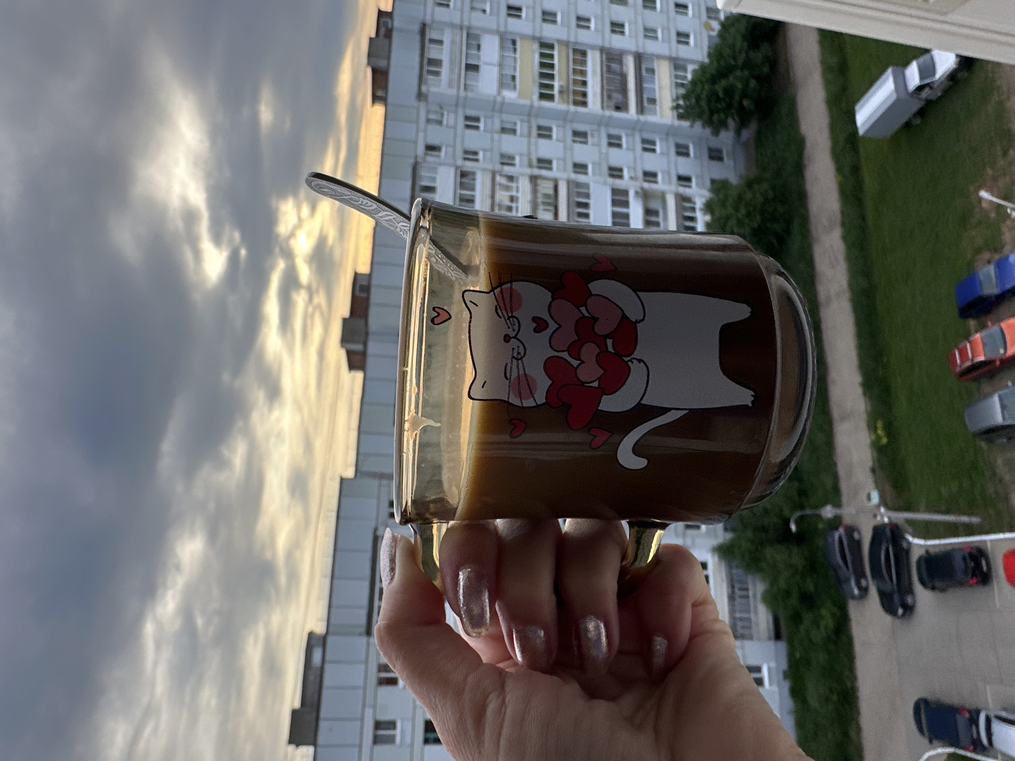 A person is holding a mug filled with a brown liquid, likely coffee or tea, in front of a city scene. The mug is decorated with a cartoon cat design holding several red hearts. A spoon is placed inside the mug. The person's hand is visible, with manicured nails.
The backdrop is a residential area, featuring a tall apartment building with numerous windows. In the distance, there is a cloudy sky with a hint of sunlight breaking through. Below, there is greenery and a parking lot with multiple cars.
Based on the architectural style and other clues, the location is likely in the city of Chaikovsky, Russia. The person is probably on a balcony or near a window, enjoying a beverage while looking out at the urban environment.
