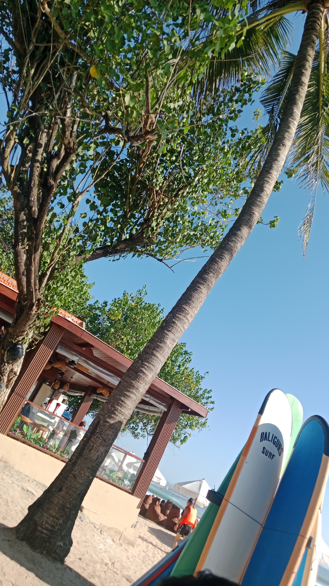 In Kuta, Indonesia, on a bright, sunny day, a low-angle shot captures a beach scene. A palm tree trunk slants diagonally across the frame, its textured bark and fronds visible against a clear blue sky. To the left, a leafy tree with a brown trunk is also present, with a single yellow fruit hanging from its branches. In the background, a wooden structure with a reddish-brown roof appears to be a beachfront establishment, possibly a cafe or restaurant, with tables and chairs visible inside. Further back, beach umbrellas and beanbag chairs are scattered on the sand. Three surfboards, two with blue and green accents and one with white and orange, stand upright in the foreground, leaning against something out of frame. A person wearing an orange life vest and dark shorts walks away from the viewer on the sandy beach, in front of the establishment. The sand is light brown and appears smooth. The overall ambiance is that of a tropical beach resort.