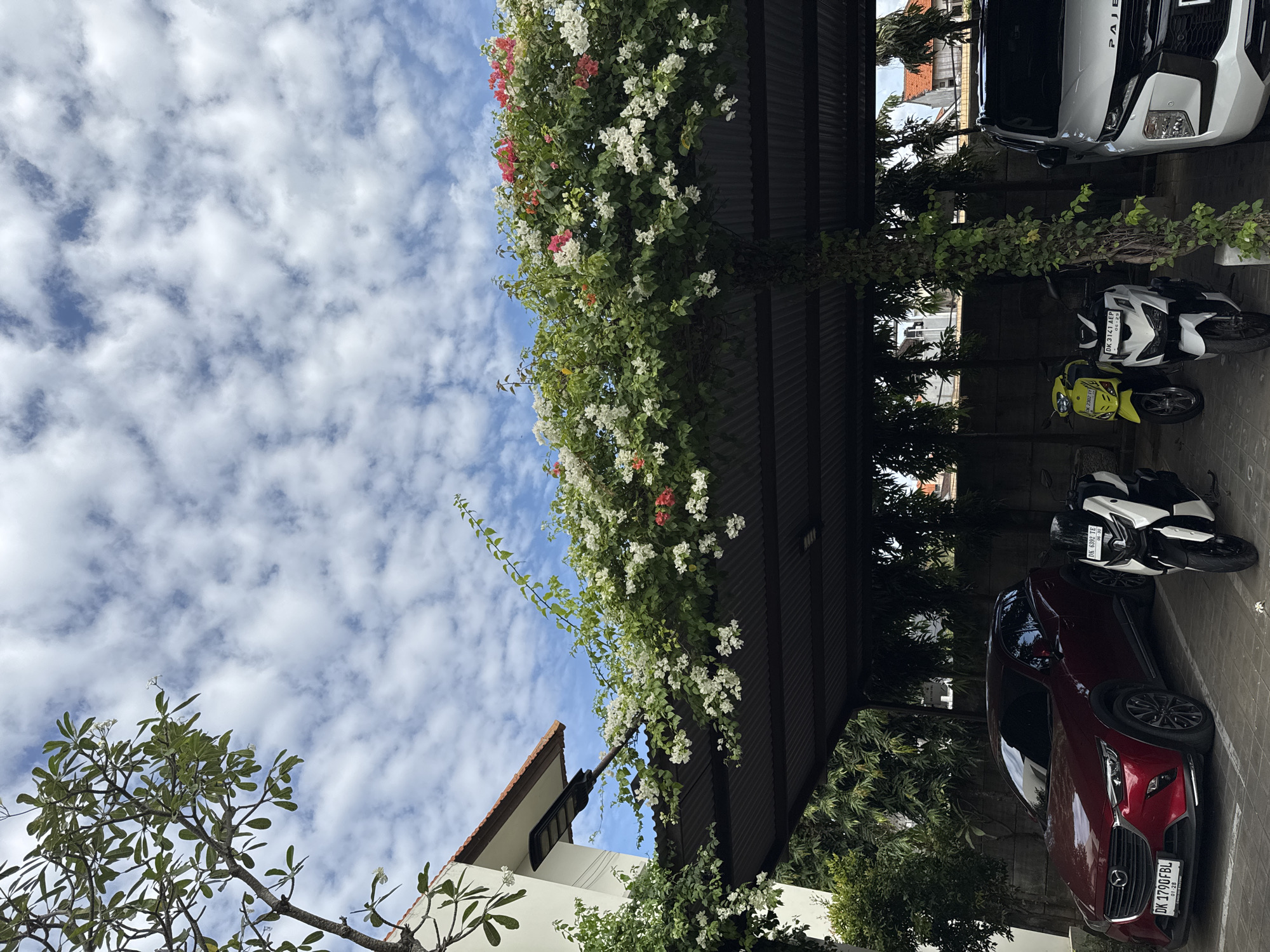The image shows a parking area covered by a corrugated metal roof supported by a pillar overgrown with vines. A cluster of bougainvillea flowers, predominantly white with some pink and red blooms, cascades over the edge of the roof. Two cars and three motorcycles are parked beneath the shelter. The car on the left is a dark red SUV with a license plate reading "DK 1790 FBL". To its right is a white and black motorcycle. Further to the right are a yellow scooter and a white motorcycle with a license plate reading "DK 6392 TE". On the far right is a white SUV, possibly a Mitsubishi Pajero. Behind the parked vehicles, a stone wall is visible, with foliage and the tops of buildings with terracotta roofs in the background. The sky above is a bright blue with scattered white clouds. The scene appears to be in a residential or commercial area of Denpasar, Indonesia, as indicated by the Indonesian license plates.