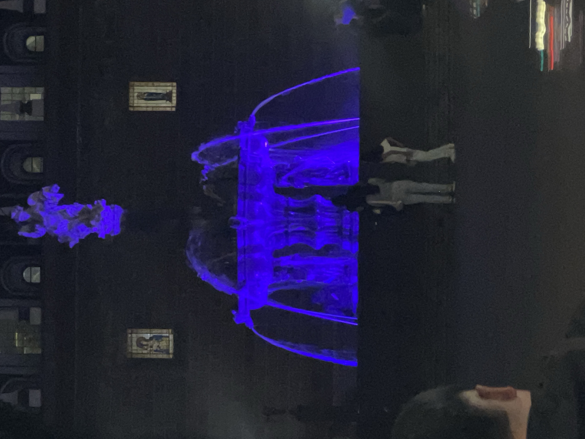 The media file captures a nighttime scene focused on a large, vibrant art installation illuminated in electric blue light. The central feature is a sculptural or fountain-like structure, possibly made of clear material, from which brilliant blue light emanates and appears to flow or arc upwards, creating dynamic shapes.
In the background on the left, a dark building with multiple windows is visible. Several windows have arched or rectangular frames. Two prominent windows higher up feature internal designs; one clearly displays an elongated, dark, fish-like figure against a lighter, textured background. Another window contains a less distinct, somewhat abstract figure.
On the right side of the image, several people are observing the blue installation. Two individuals are standing, appearing to look towards the light; one is dressed in light-colored pants and a white top, while the other wears darker attire. The head and shoulder of a third person are visible in the bottom right corner, also seemingly engrossed by the glowing structure.
The overall atmosphere is dark, indicating nighttime, with the blue light serving as the dominant and captivating element. The presence of the building and people suggests a public exhibition or artistic display. No explicit text is legibly visible in the scene.