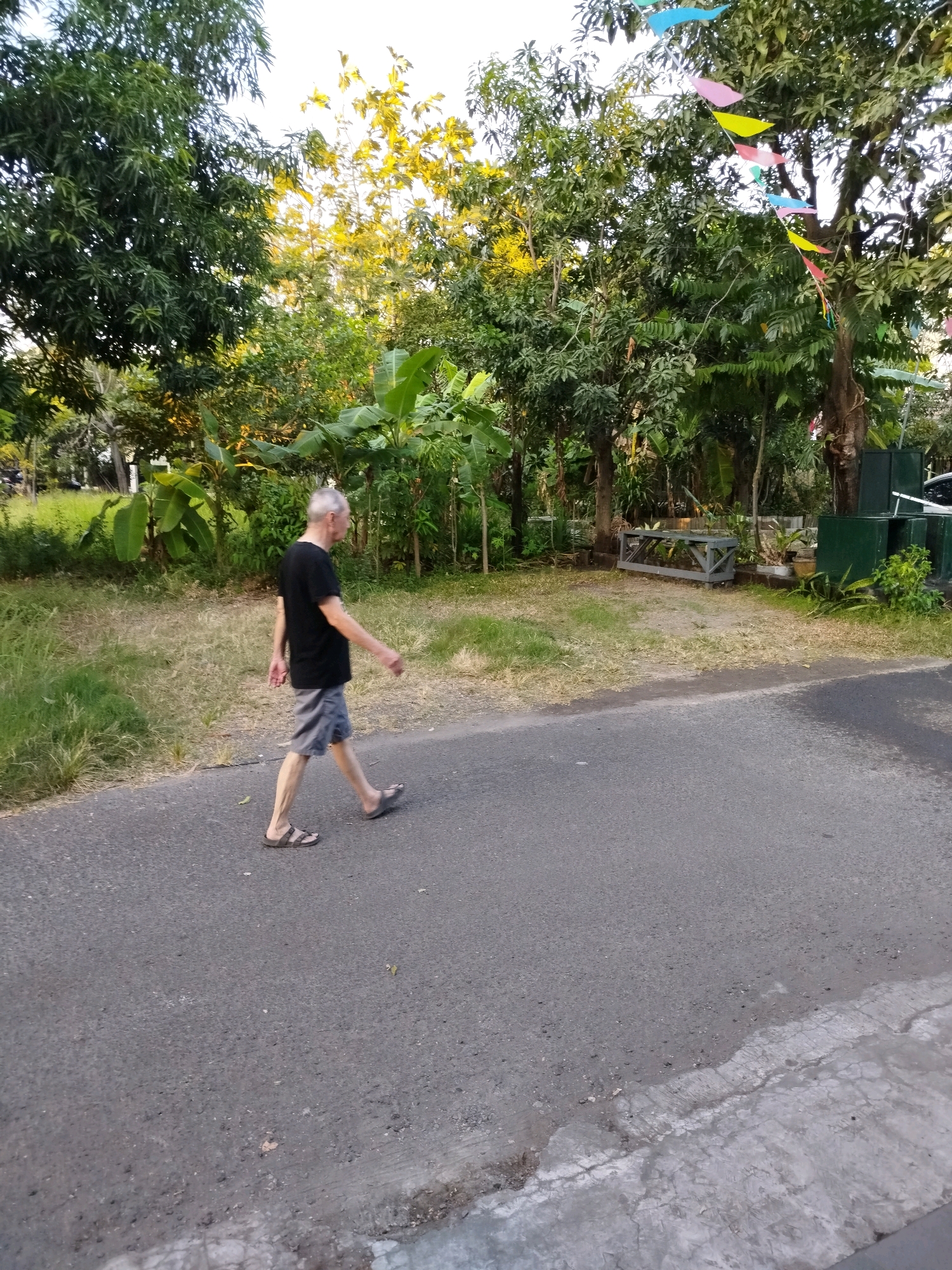 An elderly man with gray hair is walking on an asphalt road in a naturalistic setting. He is wearing a black t-shirt and gray shorts, with sandals on his feet. The road is bordered by dry grass and vegetation on the left and by trees, some with large leaves, on the right. Colorful triangular flags are strung across the trees in the background, suggesting a festive or celebratory atmosphere. The lighting indicates it is either early morning or late afternoon. The scene appears to be in a residential area on the outskirts of Surabaya, Indonesia, likely a quieter, greener part of the city. There is a simple wooden structure visible in the background, along with some green bins. The man is walking away from the camera and is the sole human subject in the image.