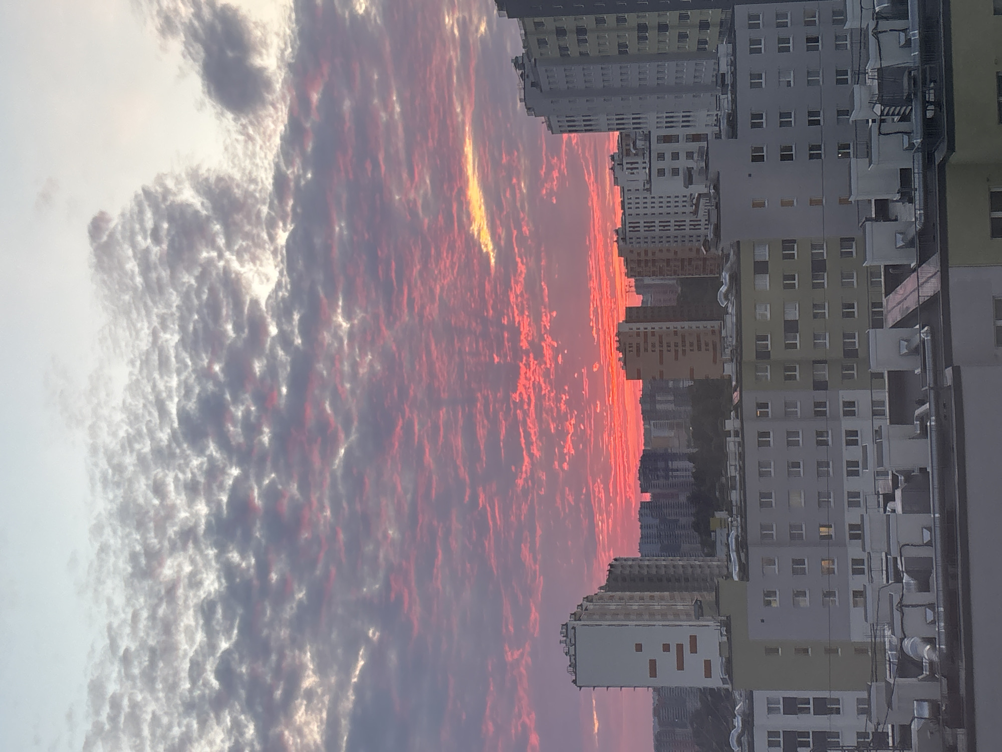 The image captures a vibrant sunrise or sunset over an urban or suburban landscape in Sinyavino, Russia. The sky dominates the scene, filled with turbulent, altocumulus-like clouds that display a spectacular array of colors. The central portion of the sky is awash in intense reds, oranges, and fiery yellows, with a prominent bright streak of golden light near the horizon, indicative of the sun's low position. Towards the upper left and parts of the right, the clouds transition to cooler shades of gray and white, suggesting varying depths and angles of light.
Below the dramatic sky, a dense cluster of multi-story buildings forms the urban setting. These high-rise structures appear to be residential or apartment blocks, characterized by numerous windows. Their facades exhibit a palette of muted grays, light olive greens, and off-whites, contrasting with the vivid sky. A few windows show interior lights glowing, suggesting occupancy and the time of day being either early morning or late evening. The architectural style appears functional, typical of modern urban developments. No people or visible text are present in the image.
