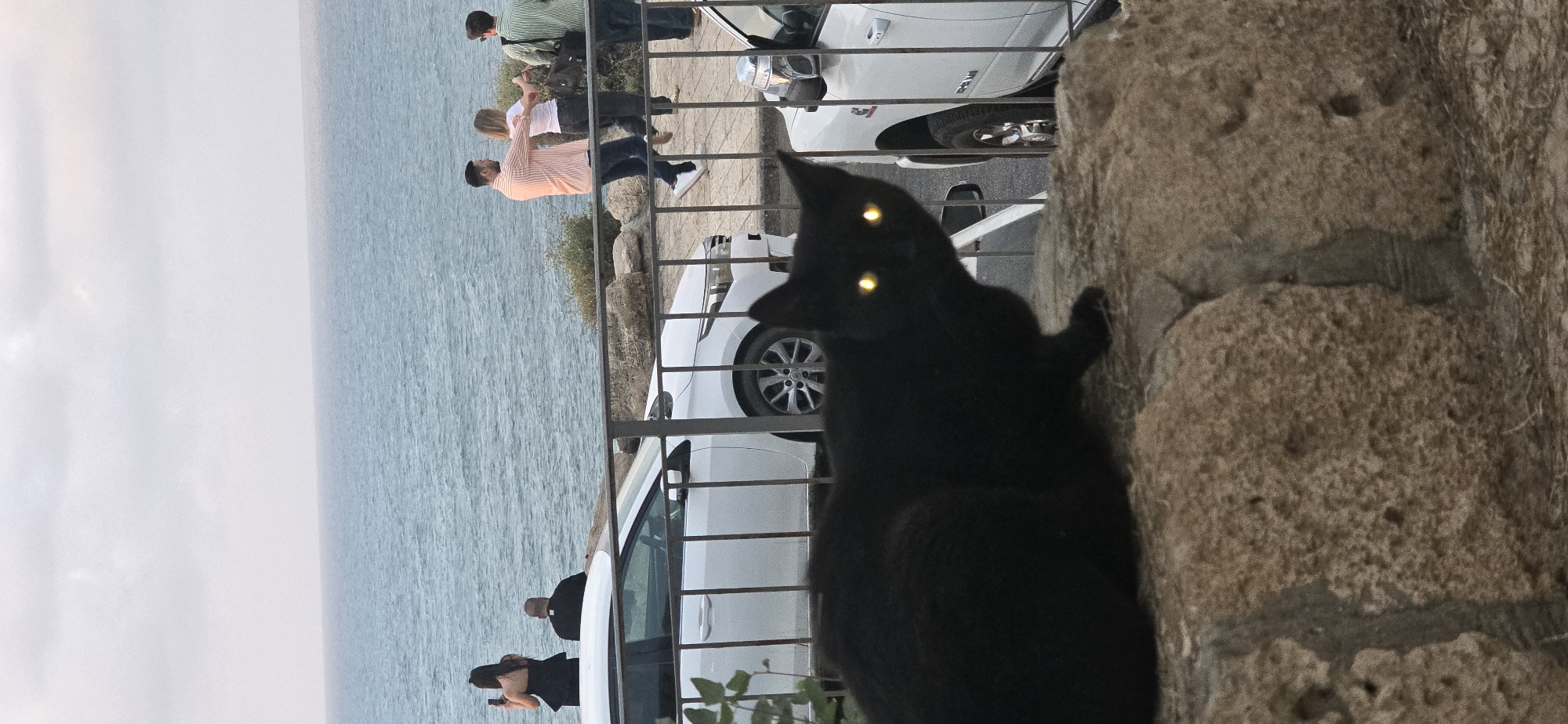 A black cat with glowing yellow eyes is in the foreground, perched on a stone wall. The cat is looking towards the viewer. In the background, beyond a metal railing, is the Mediterranean Sea. To the left, a white car is parked. Further back, a woman in a black dress is taking a photo with her phone, and a person in religious attire is standing nearby. In the mid-ground, a couple is dancing, and another person is standing to the right. The scene appears to be a public walkway or promenade overlooking the sea. The image appears to have been taken in Tel Aviv, Israel, given the distinctive coastline and common urban elements.