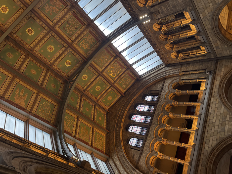 The image depicts the interior of Hintze Hall at the Natural History Museum in South Kensington, London, United Kingdom, viewed from a low angle looking upwards. The dominant feature is the high vaulted ceiling, which is divided into numerous rectangular panels of dark green with intricate gold stenciled patterns, including stylized sunbursts and various botanical motifs. These panels are framed by dark brown structural beams. Two large, angled sections of multi-paneled glass skylights are visible, admitting natural light.
The lower sections of the image reveal sturdy architectural elements constructed from light brown stone or terracotta blocks. On the left side, an upper-level gallery features a series of ornate arches supported by slender columns with decorative capitals, illuminated from below by warm artificial light. Above this gallery, a row of five arched windows with multi-paned glass, some appearing to be stained glass with abstract patterns, allows additional light. On the right, further arched structures and columns are visible, also bathed in artificial light. No individuals or specific objects beyond the building's architecture are present in the scene.