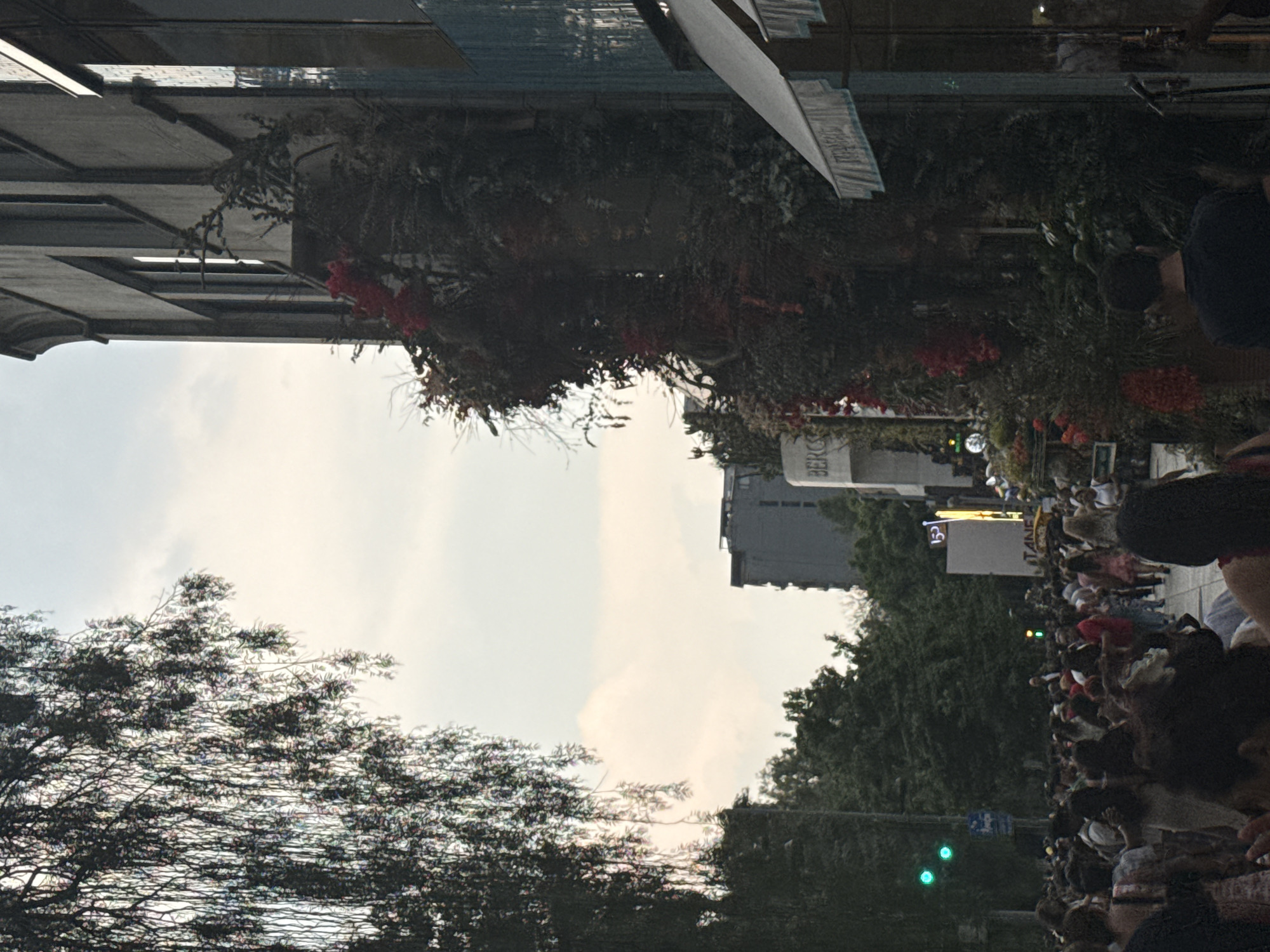The image depicts a crowd of people gathered on a street in Mexico City, Mexico, likely for an event or parade. Trees and buildings frame the scene. Foliage with red flowers hangs from the building on the upper left. A tall building can be seen in the middle ground. Traffic lights are visible on the lower right.
