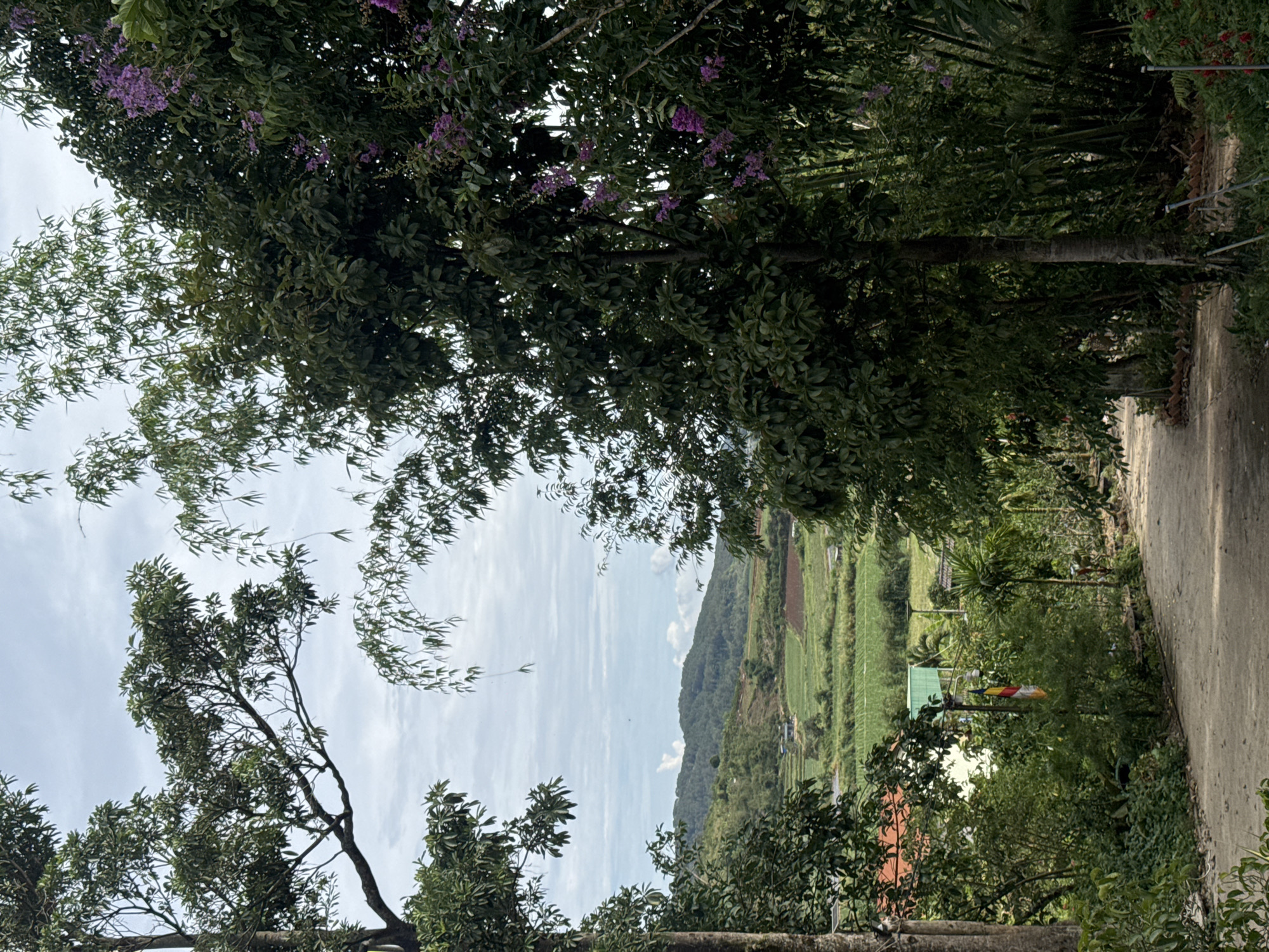 The image presents a landscape in Liên Nghĩa, Vietnam, viewed from a slightly elevated position. A paved road runs along the right side of the frame. Lush green trees and foliage frame the view. Through the trees, a landscape featuring a mountain, agricultural fields, and scattered houses is visible. The sky is overcast with striated clouds. A pole with colorful Buddhist prayer flags can be seen among the trees.