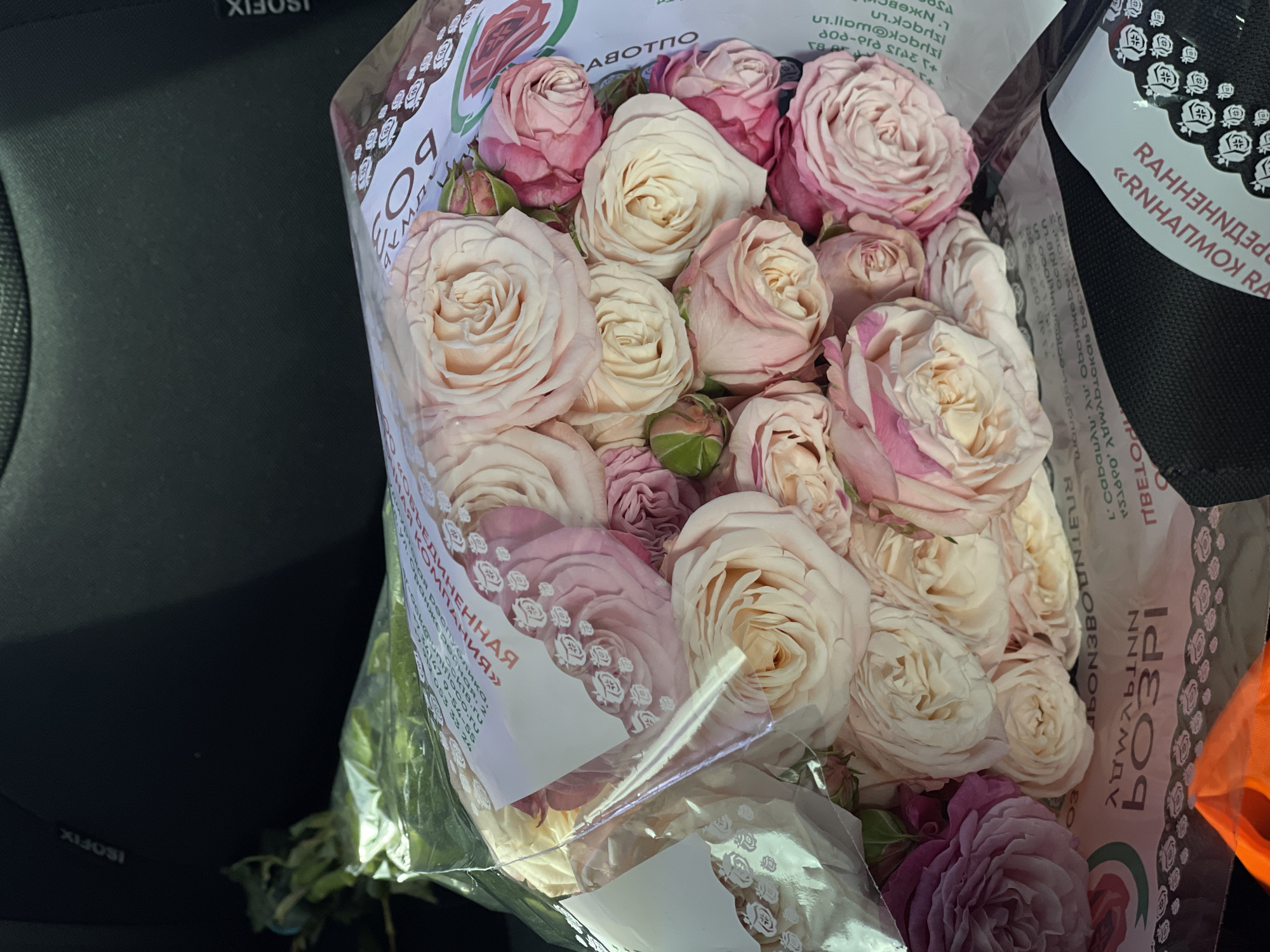 This is a close-up, overhead shot of a bouquet of roses, predominantly in shades of soft pink, cream, and a deeper mauve. The roses are tightly packed and appear to be of a garden rose variety, characterized by their numerous petals and delicate appearance. The bouquet is partially wrapped in clear cellophane, which reflects the light.
Visible text on the wrapping includes Russian words and phrases. On the left side, upside down, are the words "ISOFIX" and "LONG BOUN". Further into the bouquet's wrapping, the words "БОЗРІ" and "ЕДИНЕННАЯ <<ОБКОМПАНИЯ»" are visible. Other snippets of text are present, including what appears to be an email address and phone numbers.
The setting appears to be inside a vehicle, suggested by the dark, textured material in the background which resembles a car seat, and the "ISOFIX" text which is a standard for child car seat anchoring systems. The lighting suggests it could be daytime, but there are no specific cues to determine the time of day. The focus is entirely on the flowers, giving them a prominent and decorative presence. There are no people visible in the image.