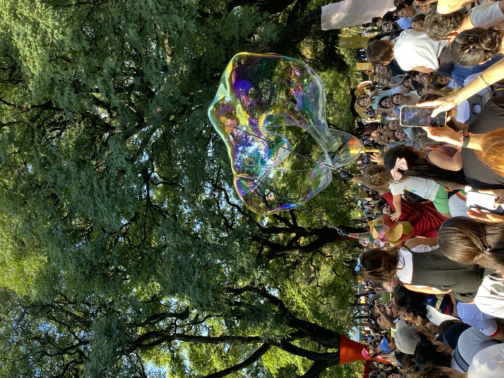 The image shows a crowd of people gathered under trees in Buenos Aires, Argentina. A large, iridescent soap bubble floats in the air. Many people are looking up and taking pictures with their phones. The bubble reflects the light and surrounding trees, creating a colorful display. The trees provide shade for the crowd.