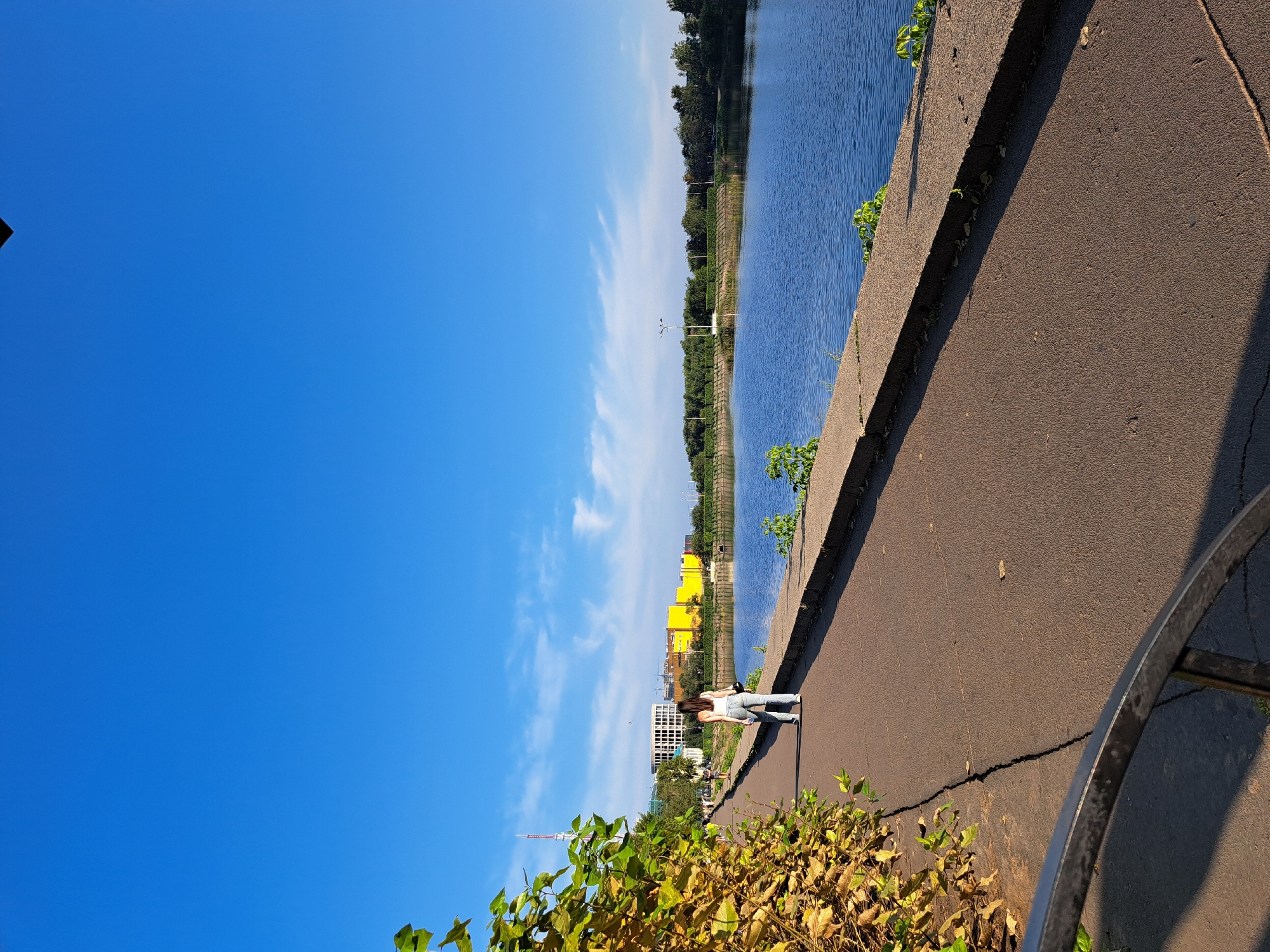 An over-the-shoulder, medium shot captures a woman walking away from the camera on a paved pathway next to a body of water. She has dark hair and is wearing a white tank top and blue jeans. The pathway is cracked and runs along the edge of the water, which is blue and calm. On the left side of the pathway, there is a dense bush with yellowing leaves. In the background, across the water, are several buildings, including one with a bright yellow facade, and a dense line of trees. The sky is a clear, bright blue with a few wispy white clouds. The scene is set in a park-like urban environment.