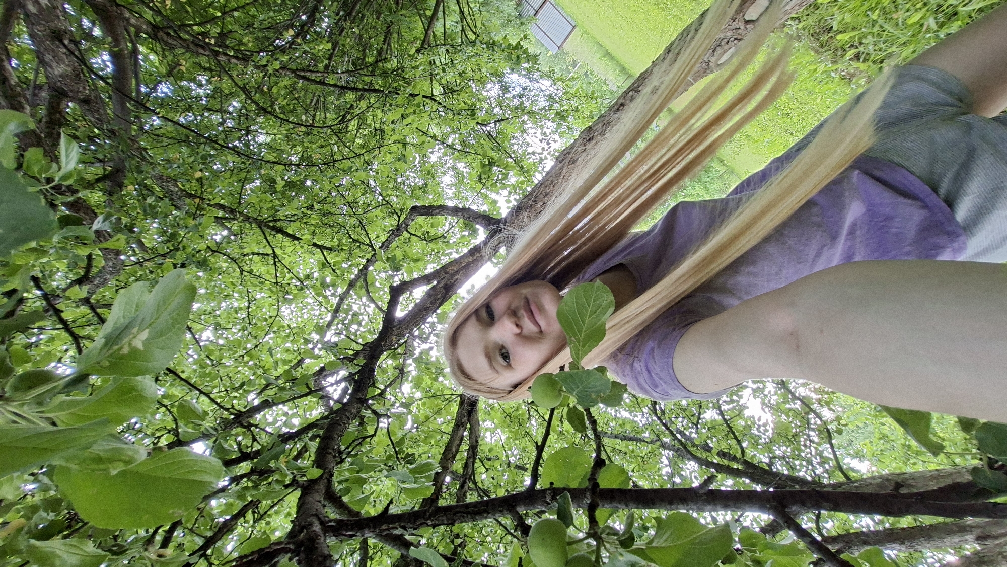 This is a low-angle, wide shot of a young woman with long blonde hair, looking upwards into a tree canopy. She is wearing a purple t-shirt and grey shorts. The leaves of the tree are a vibrant green, and sunlight filters through them, creating a dappled effect. The woman is smiling and appears relaxed and happy. The background shows more of the tree and a hint of a grassy area with a structure in the distance, possibly a greenhouse or shed. The time of day appears to be daytime, with bright, natural light. The scene evokes a sense of peace and connection with nature. No text is visible in the image. The location context is Большой Букор, Russia.