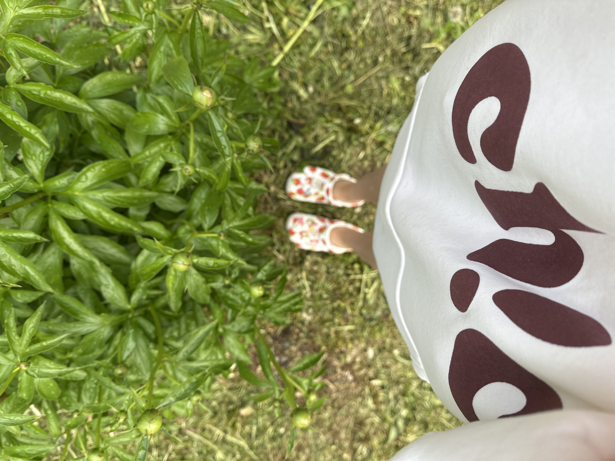 A top-down view captures a person standing on a lawn of green grass. To the left, there is a lush green plant. The person is wearing a white dress with a brown pattern. Their feet are clad in white slip-on shoes adorned with a red strawberry pattern. The location is not identifiable as Nizhny Novgorod, Russia.