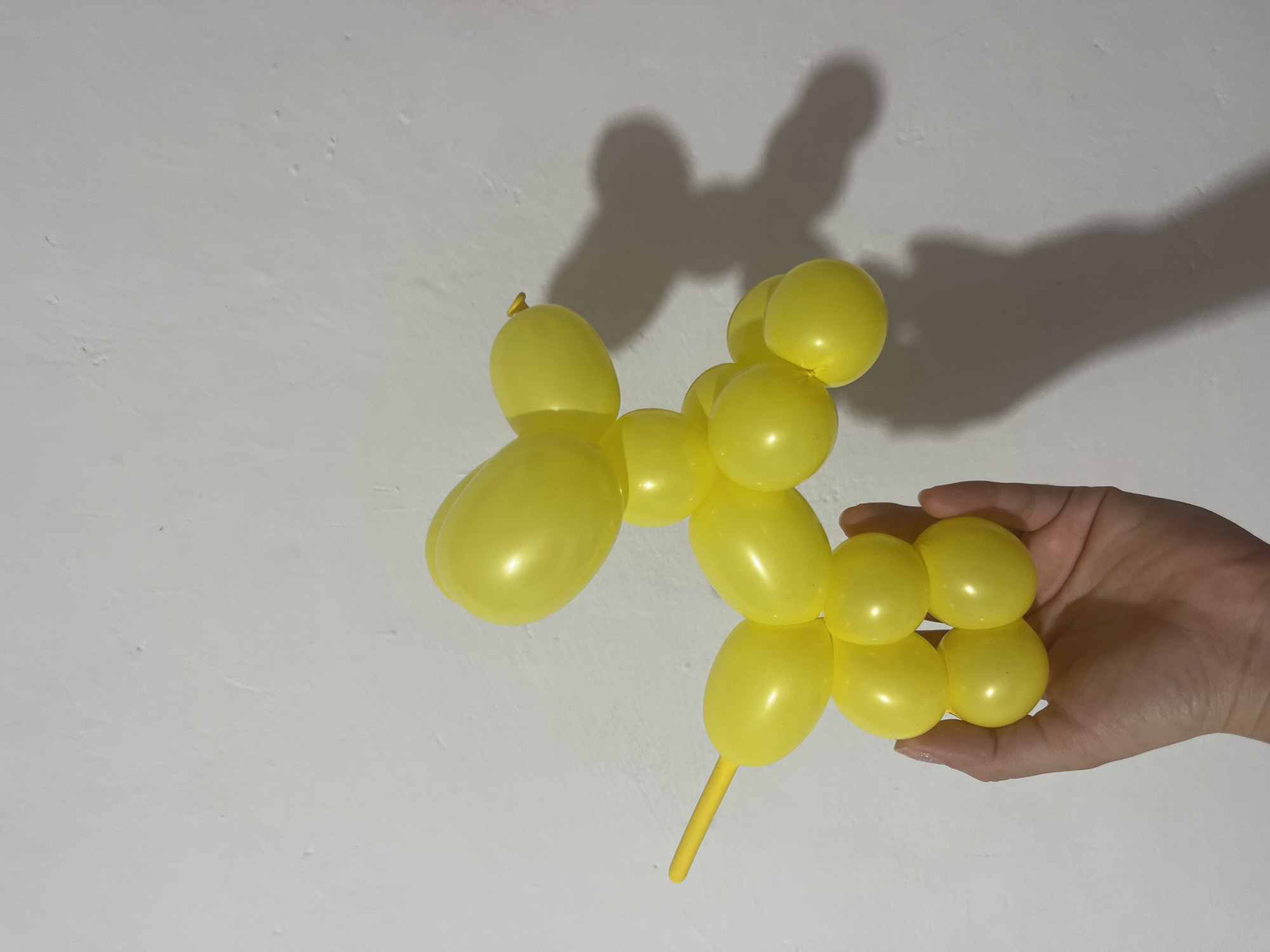 A hand is holding a yellow balloon dog against a white, textured wall. The balloon dog is made of several inflated yellow balloons twisted together to form a dog's body, head, legs, and tail. The wall has some minor imperfections and is illuminated by a light source, casting a shadow of the balloon dog and the hand onto the wall. There are no discernible elements indicating the location as Vallo della Lucania, Italy.